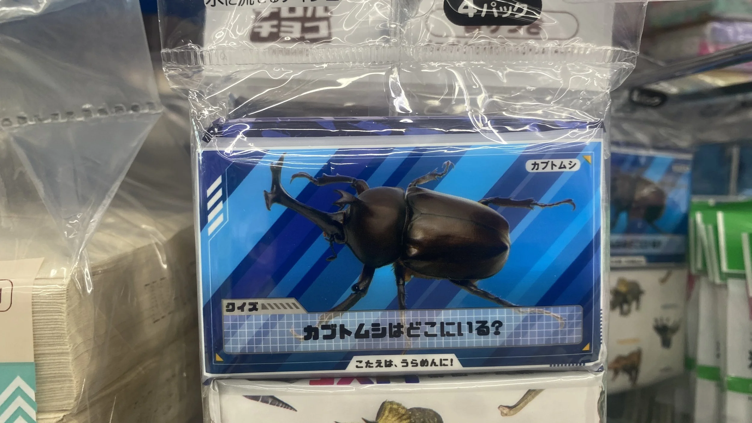 IMG_2691.jpeg
