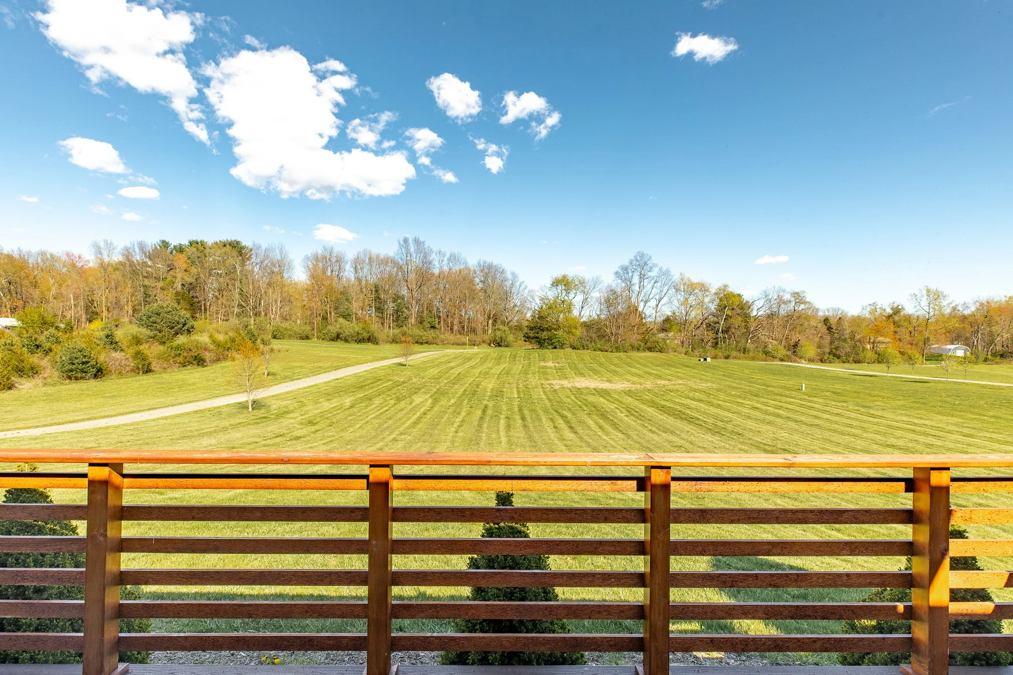 petty-drive-upstate-realtor-thatupstateagent-curious-ahouseupstate-lilliek-45.jpg