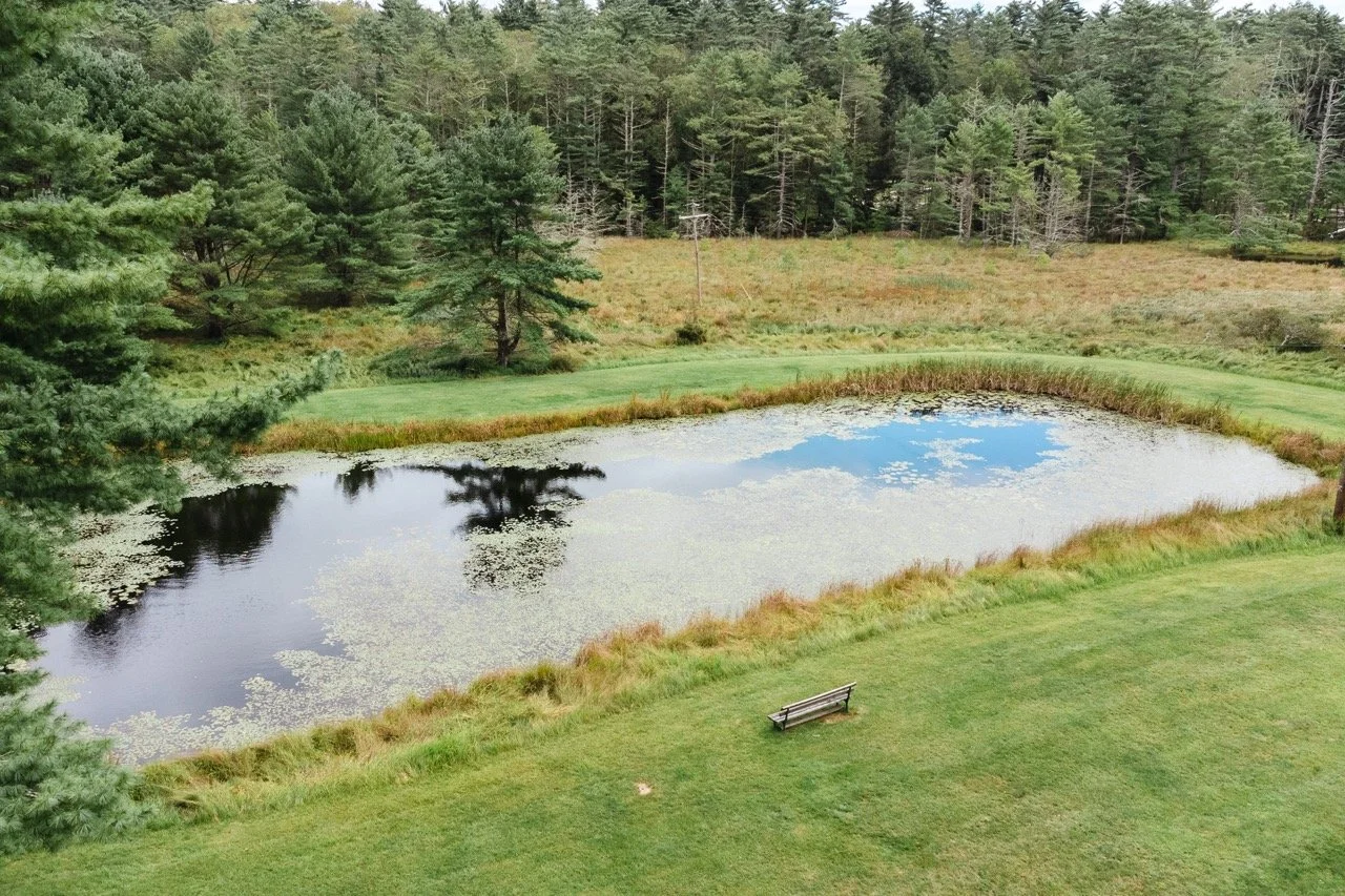 pond-view-compound-that-upstate-agent-catskills-real-estate-7.jpeg