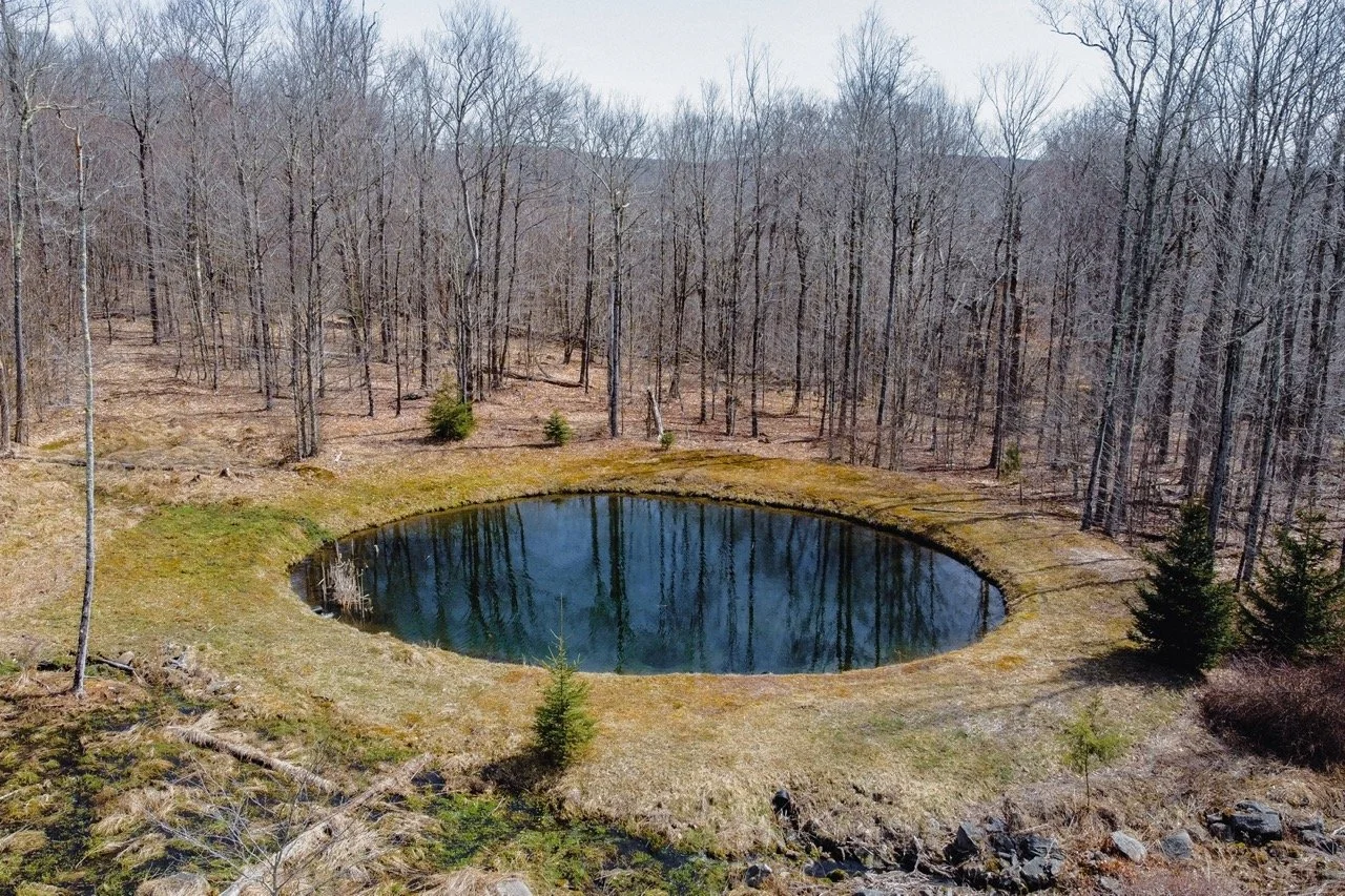 roe-pond-that-upstate-agent-catskills-real-estate-24.jpeg