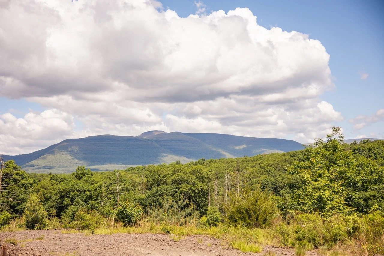 high-quarry-that-upstate-agent-catskills-real-estate-22.jpeg