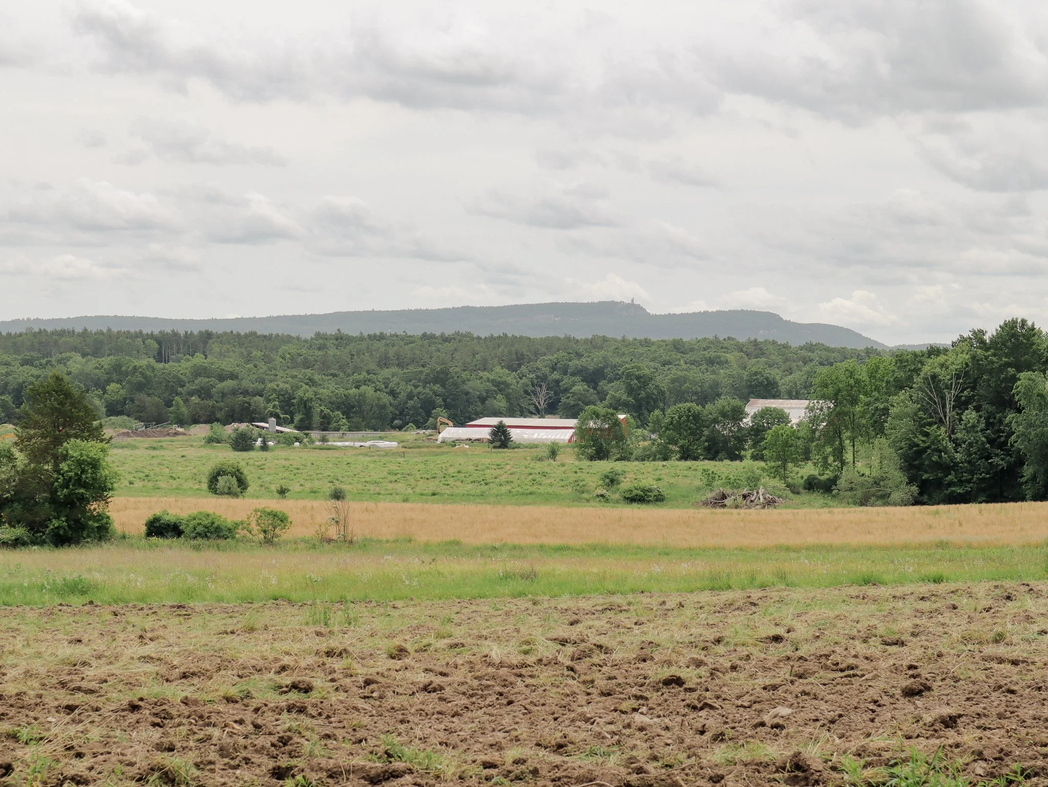 The View + Farm