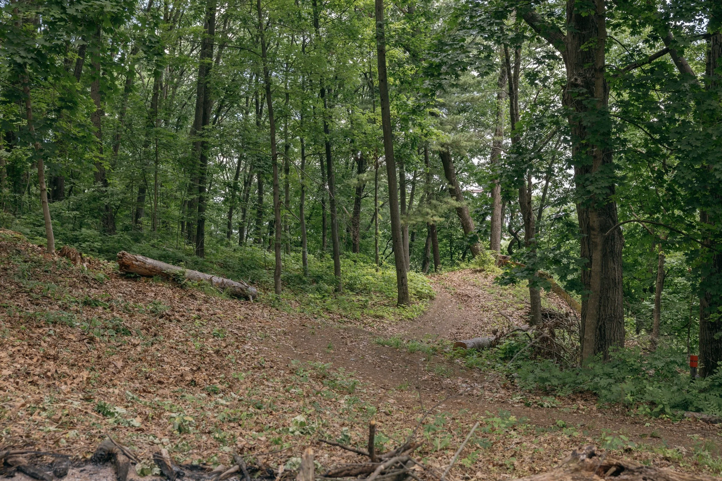 fox-upstate-realtor-thatupstateagent-curious-ahouseupstate-lilliek-52.jpg