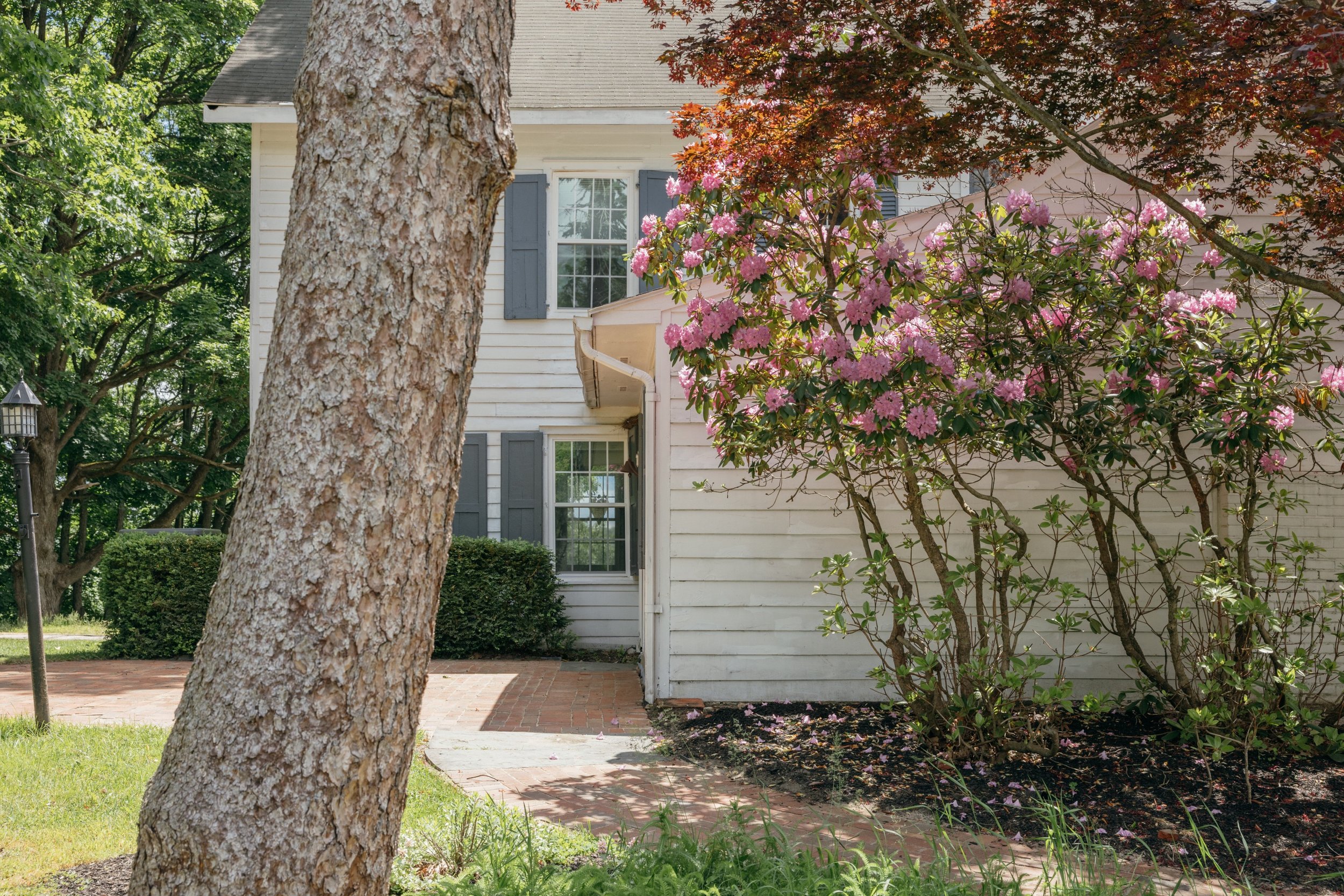 fox-upstate-realtor-thatupstateagent-curious-ahouseupstate-lilliek-48.jpg