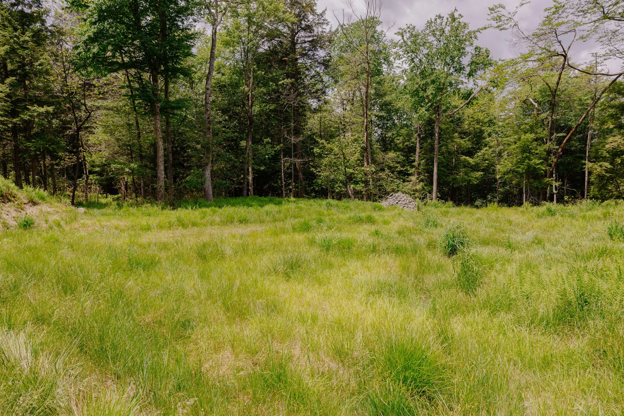 shandelee-upstate-realtor-thatupstateagent-curious-ahouseupstate-lilliek-11.jpg