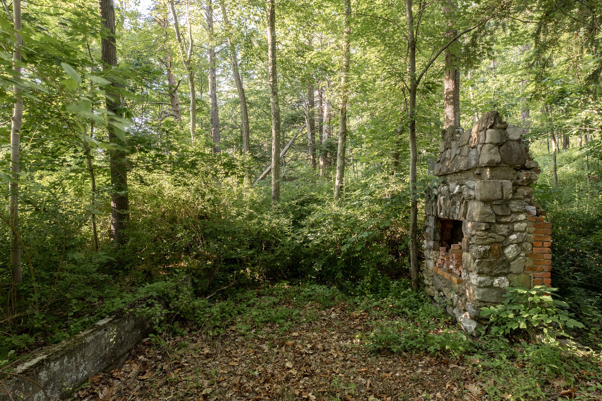 route-82-thatupstateagent-ahouseupstate-upstatecurious-lilliek-freshair-56.jpg