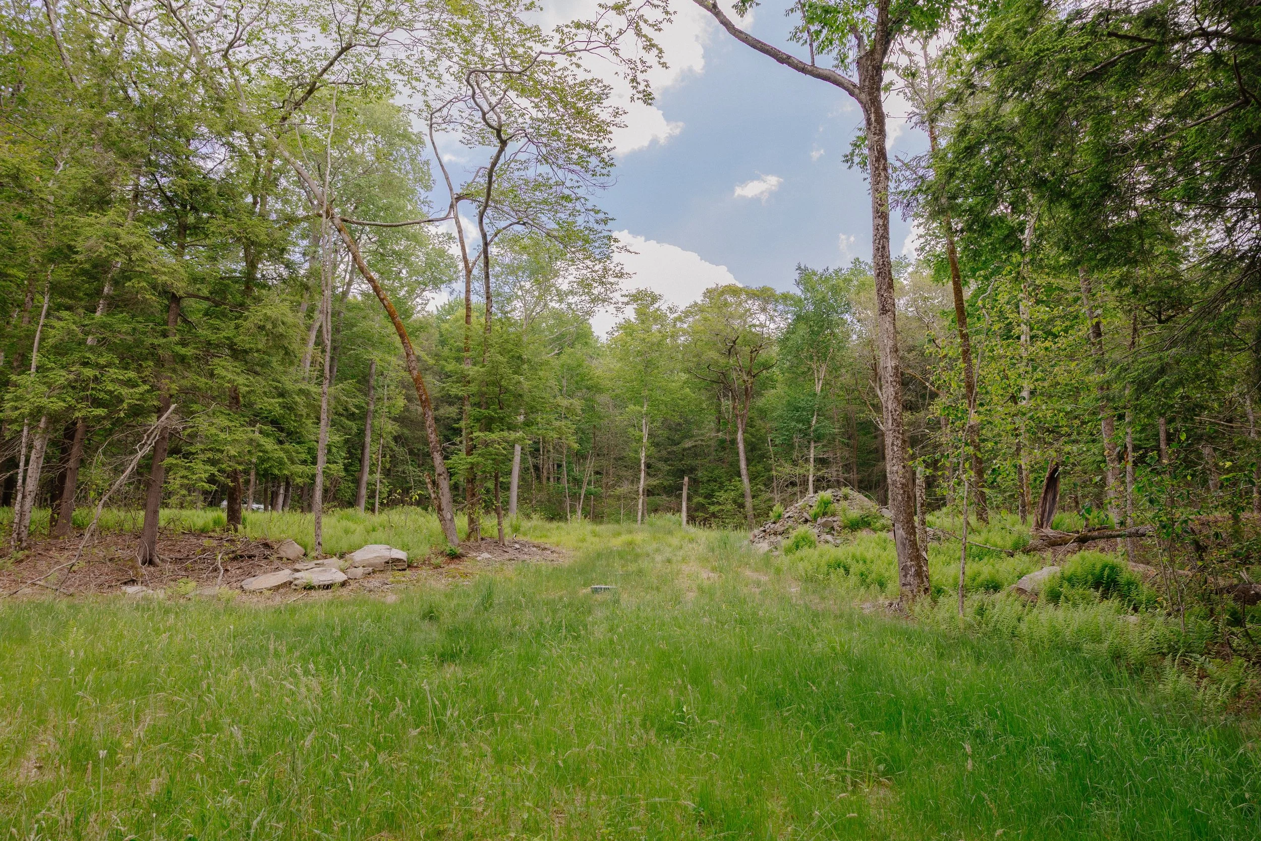 shandelee-upstate-realtor-thatupstateagent-curious-ahouseupstate-lilliek-12.jpg