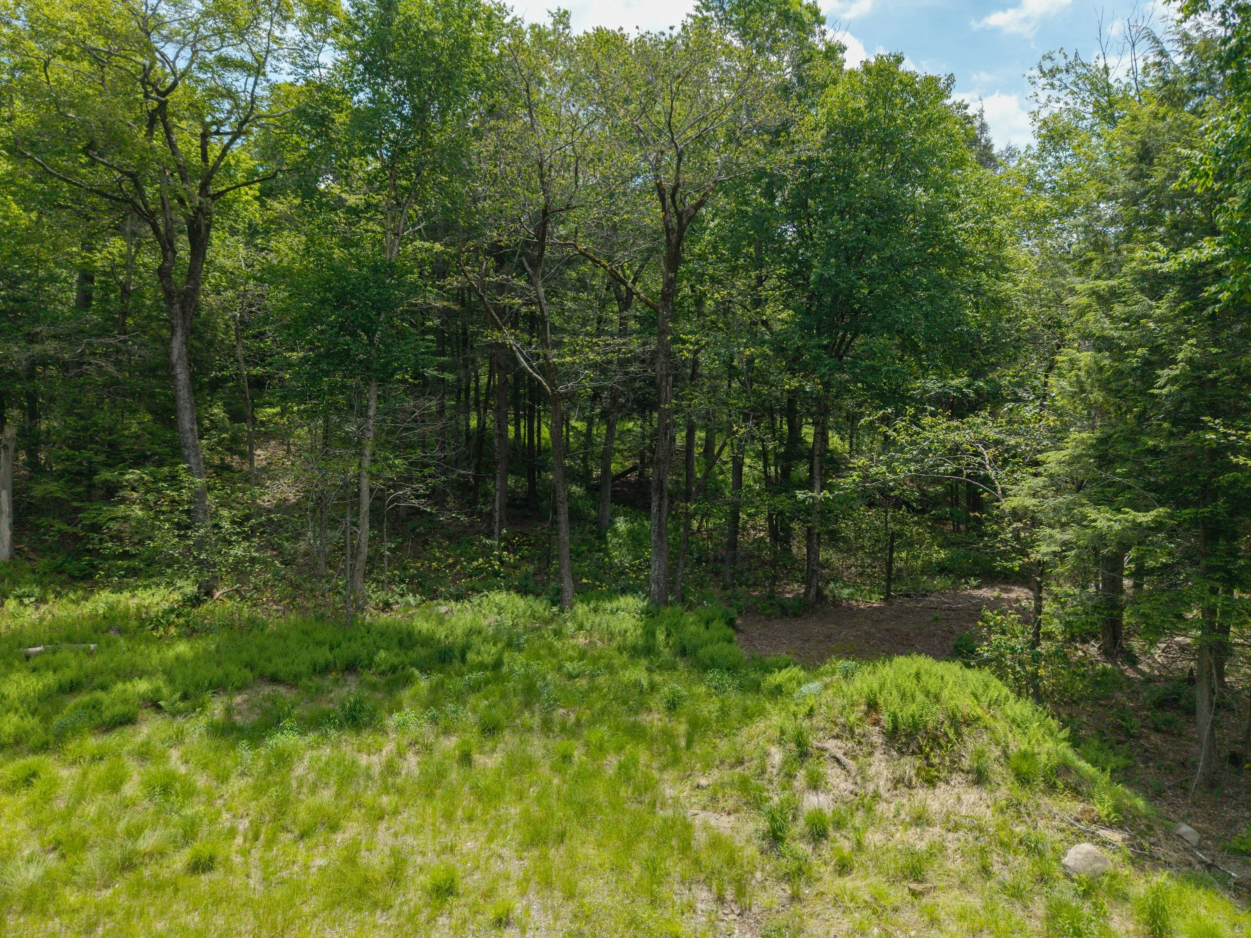 shandelee-upstate-realtor-thatupstateagent-curious-ahouseupstate-lilliek-28.jpg