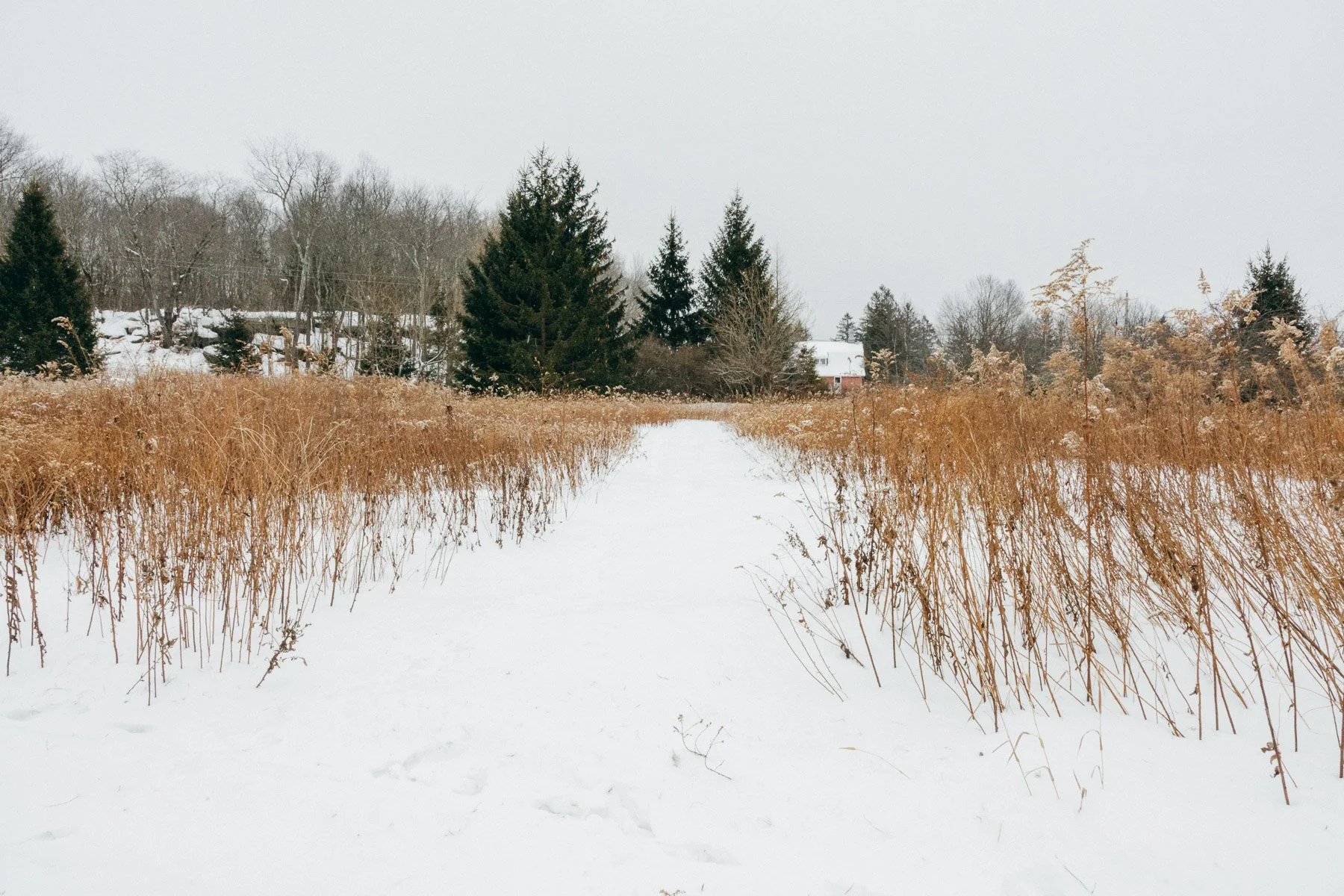 that-upstate-agent-13-n-pond-9.jpg