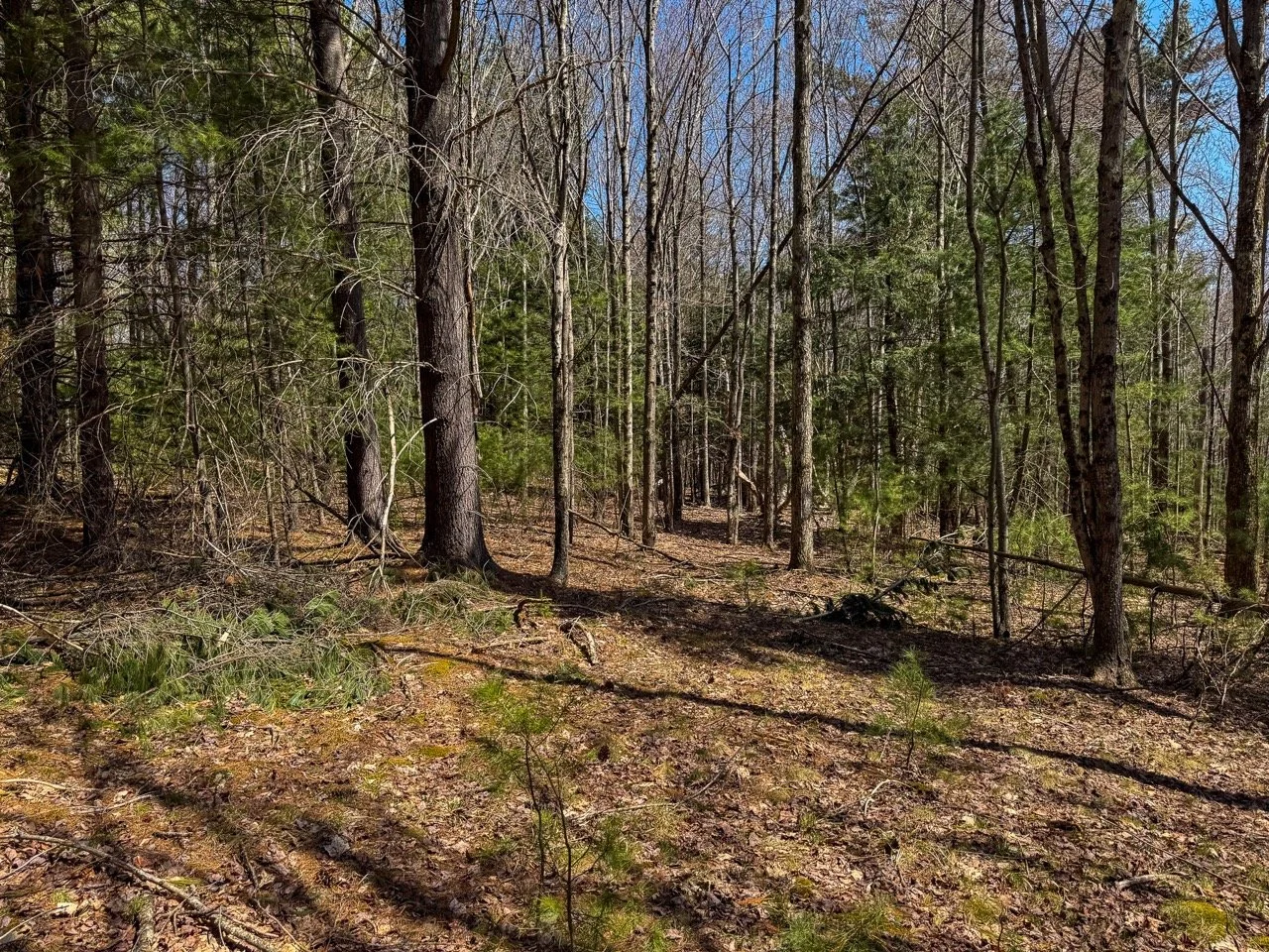 Sugarloaf: 1 Acre, East Jewett, NY (Contract)