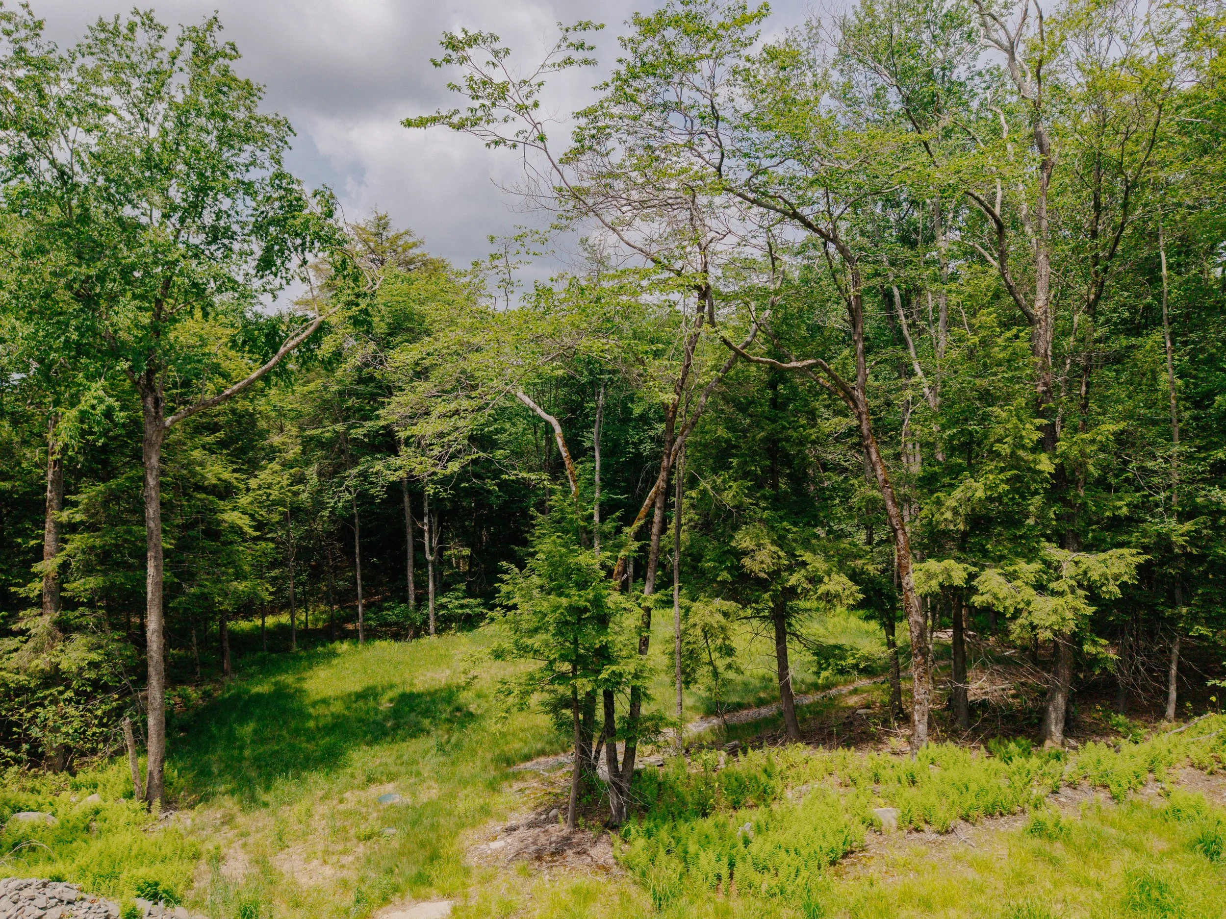 shandelee-upstate-realtor-thatupstateagent-curious-ahouseupstate-lilliek-27.jpg