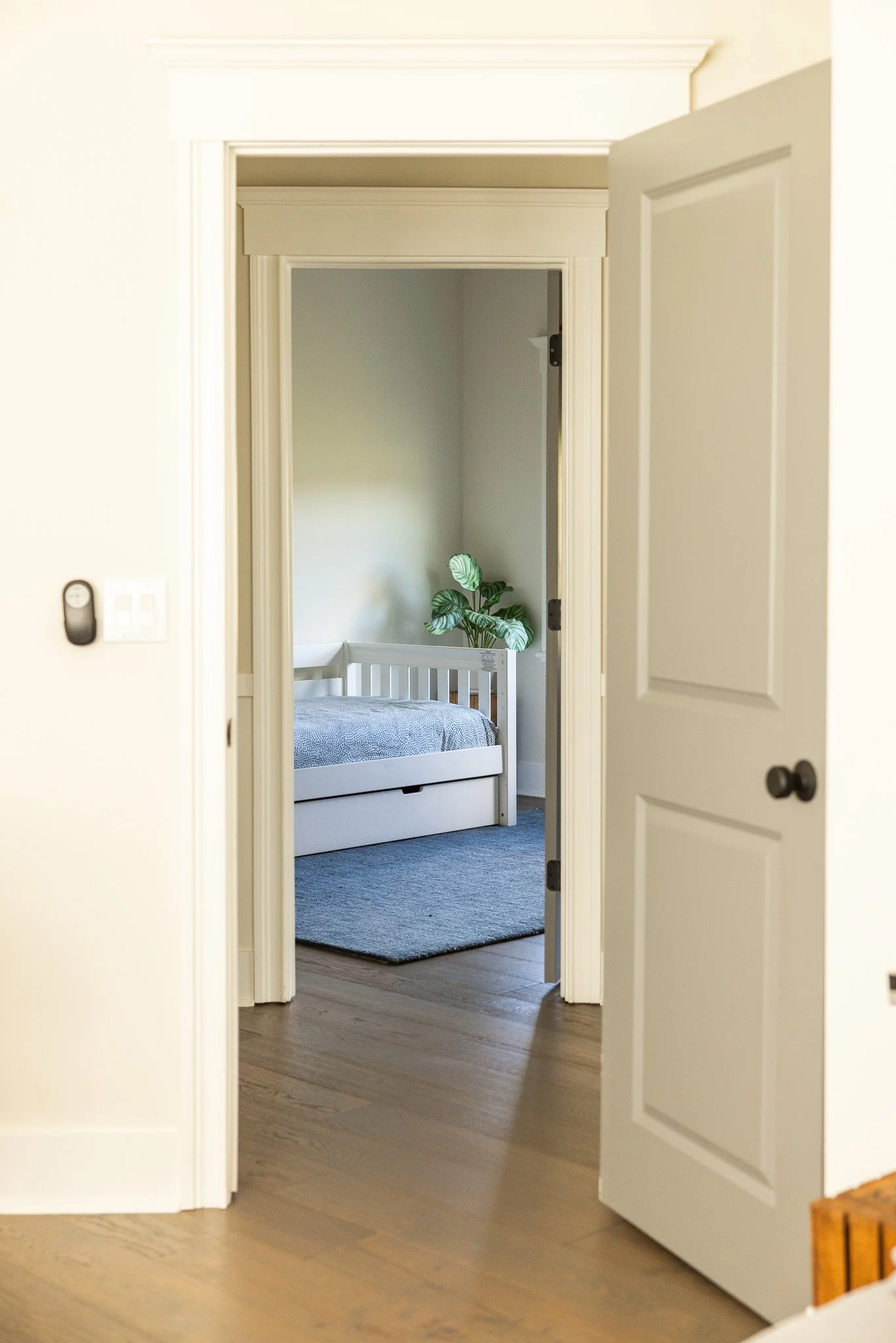 petty-drive-upstate-realtor-thatupstateagent-curious-ahouseupstate-lilliek-21.jpg