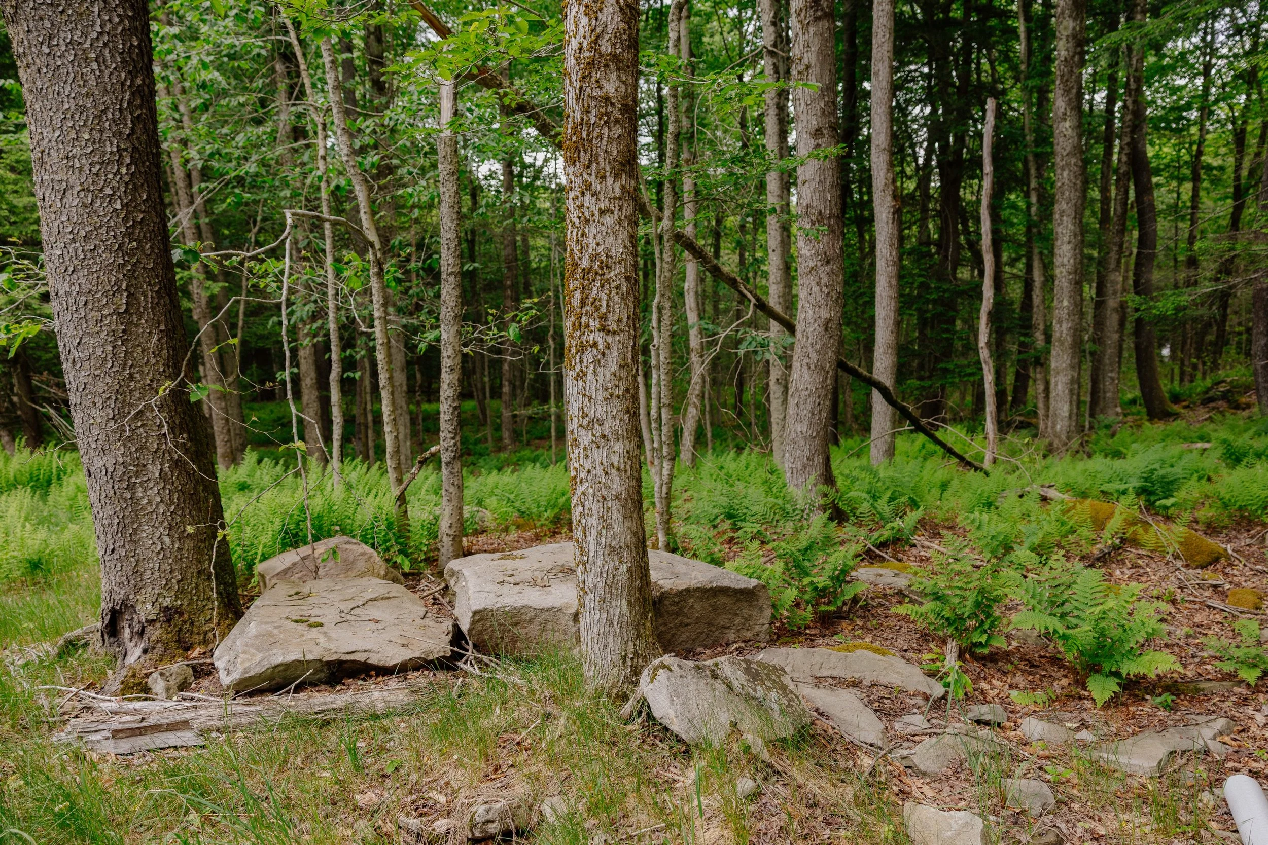 shandelee-upstate-realtor-thatupstateagent-curious-ahouseupstate-lilliek-23.jpg