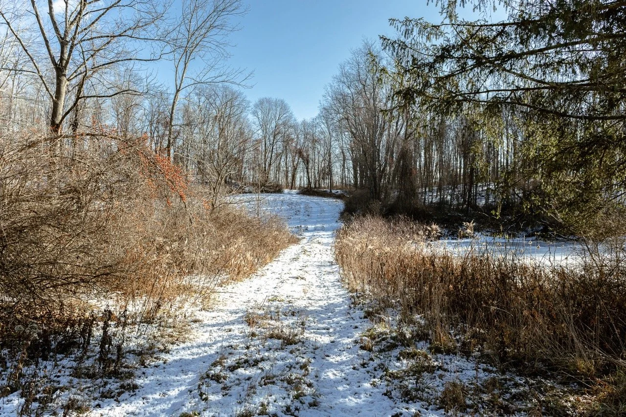 Punch Brook Acres: 105.45 acres, Ancramdale, NY (Sold)