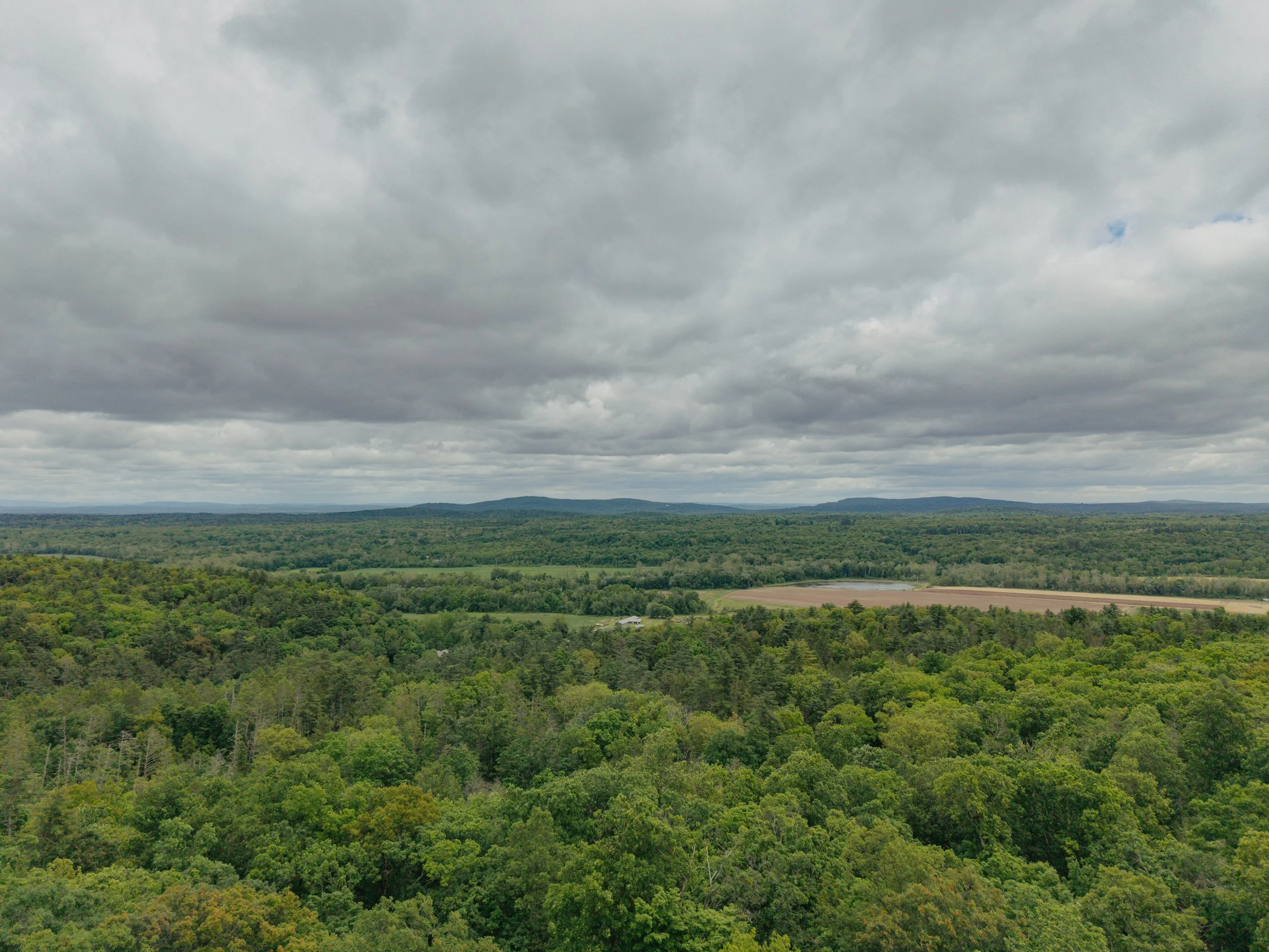 gesso-heath-upstate-realtor-thatupstateagent-curious-ahouseupstate-lilliek-44.jpg