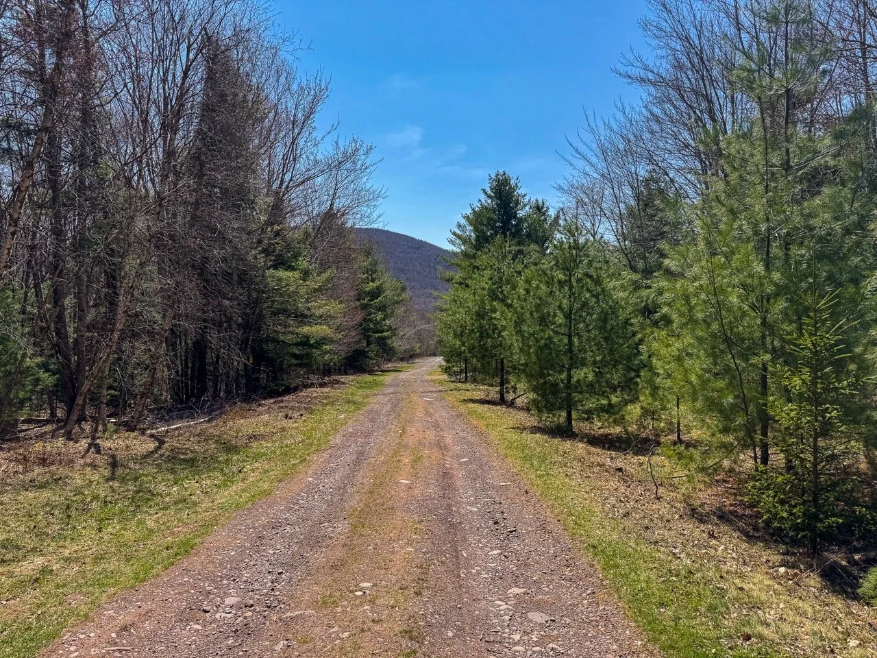 sugarloaf-that-upstate-agent-catskills-real-estate-12.jpeg