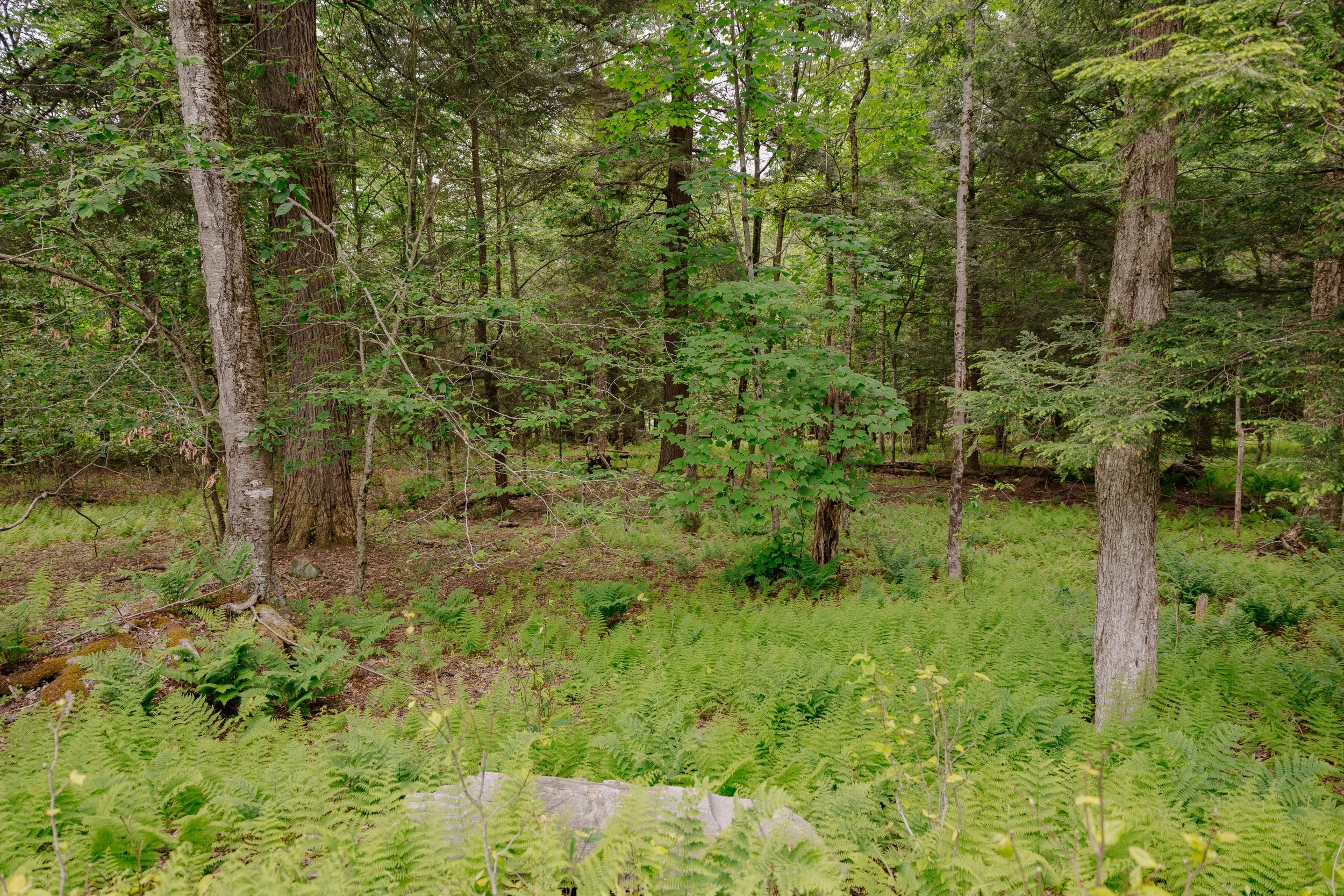 shandelee-upstate-realtor-thatupstateagent-curious-ahouseupstate-lilliek-20.jpg