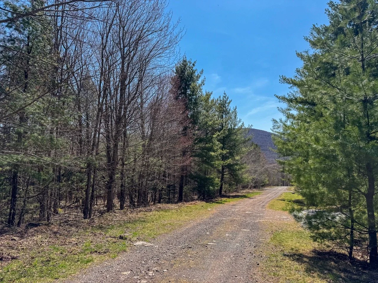 sugarloaf-that-upstate-agent-catskills-real-estate-13.jpeg