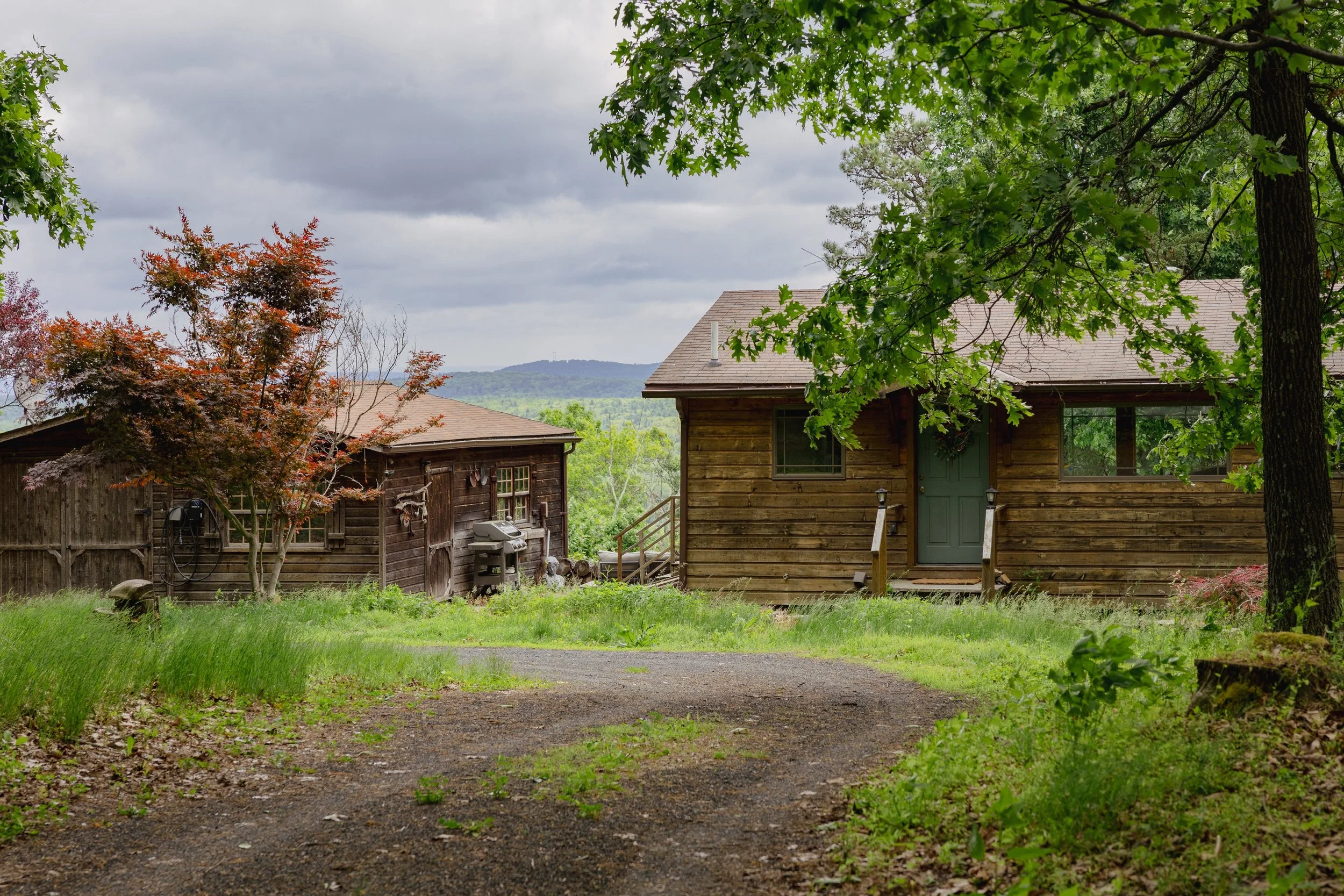 gesso-heath-upstate-realtor-thatupstateagent-curious-ahouseupstate-lilliek-46.jpg