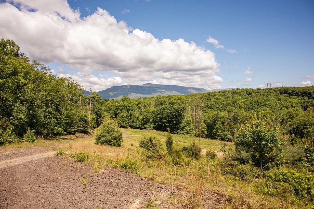 high-quarry-that-upstate-agent-catskills-real-estate-19.jpeg