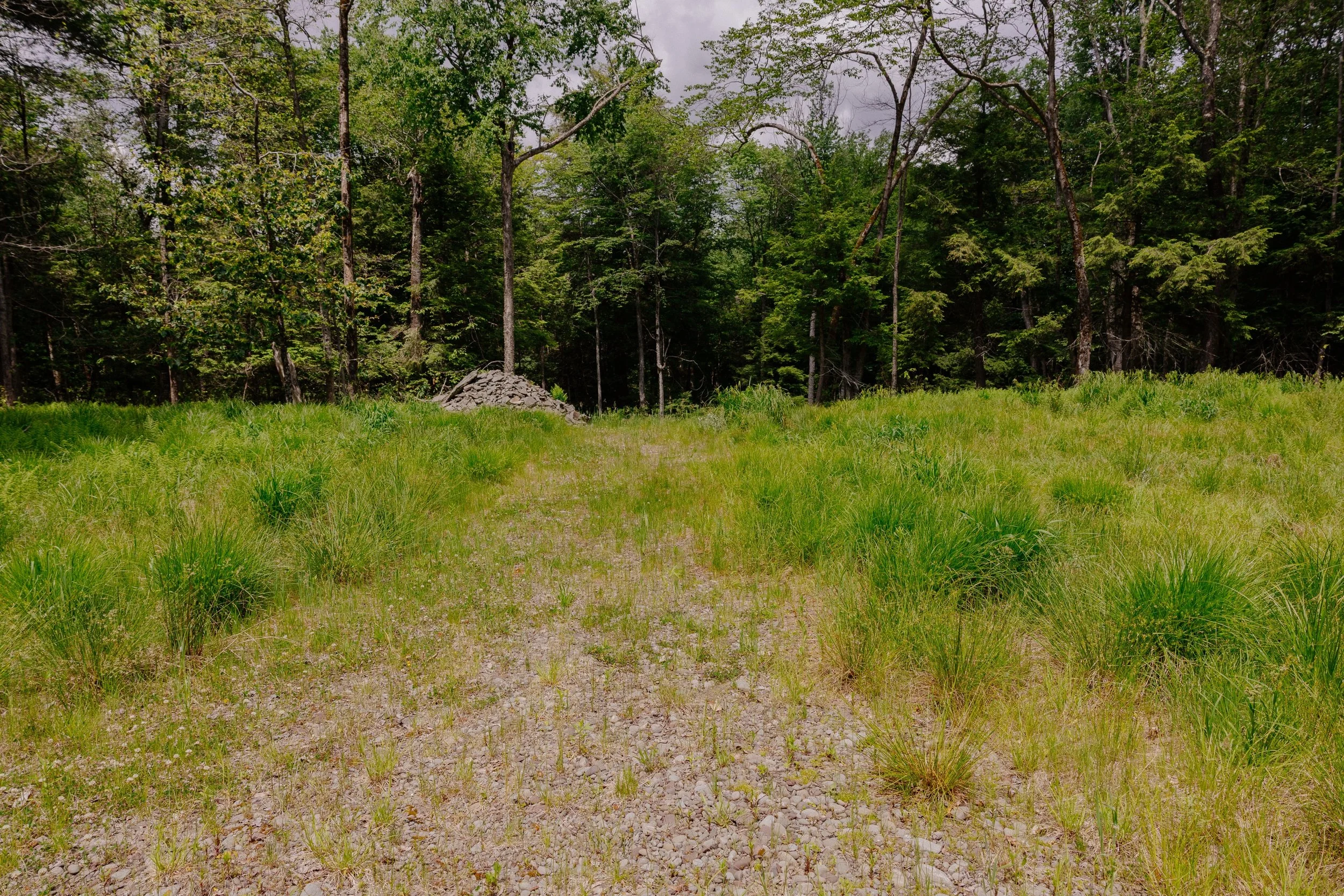 shandelee-upstate-realtor-thatupstateagent-curious-ahouseupstate-lilliek-3.jpg