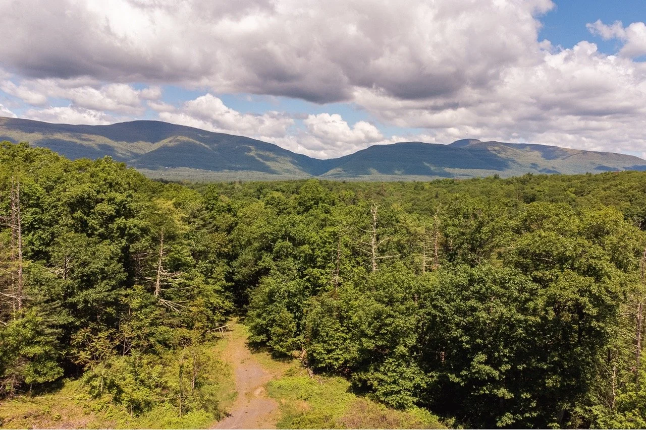high-quarry-that-upstate-agent-catskills-real-estate-17.jpeg