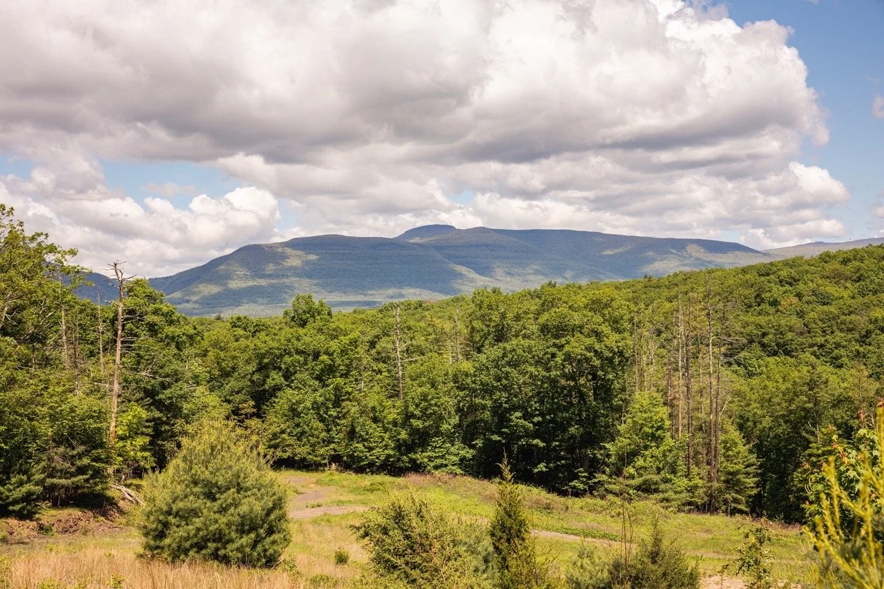 High Quarry: 8.35 acres, Saugerties, NY (Available)