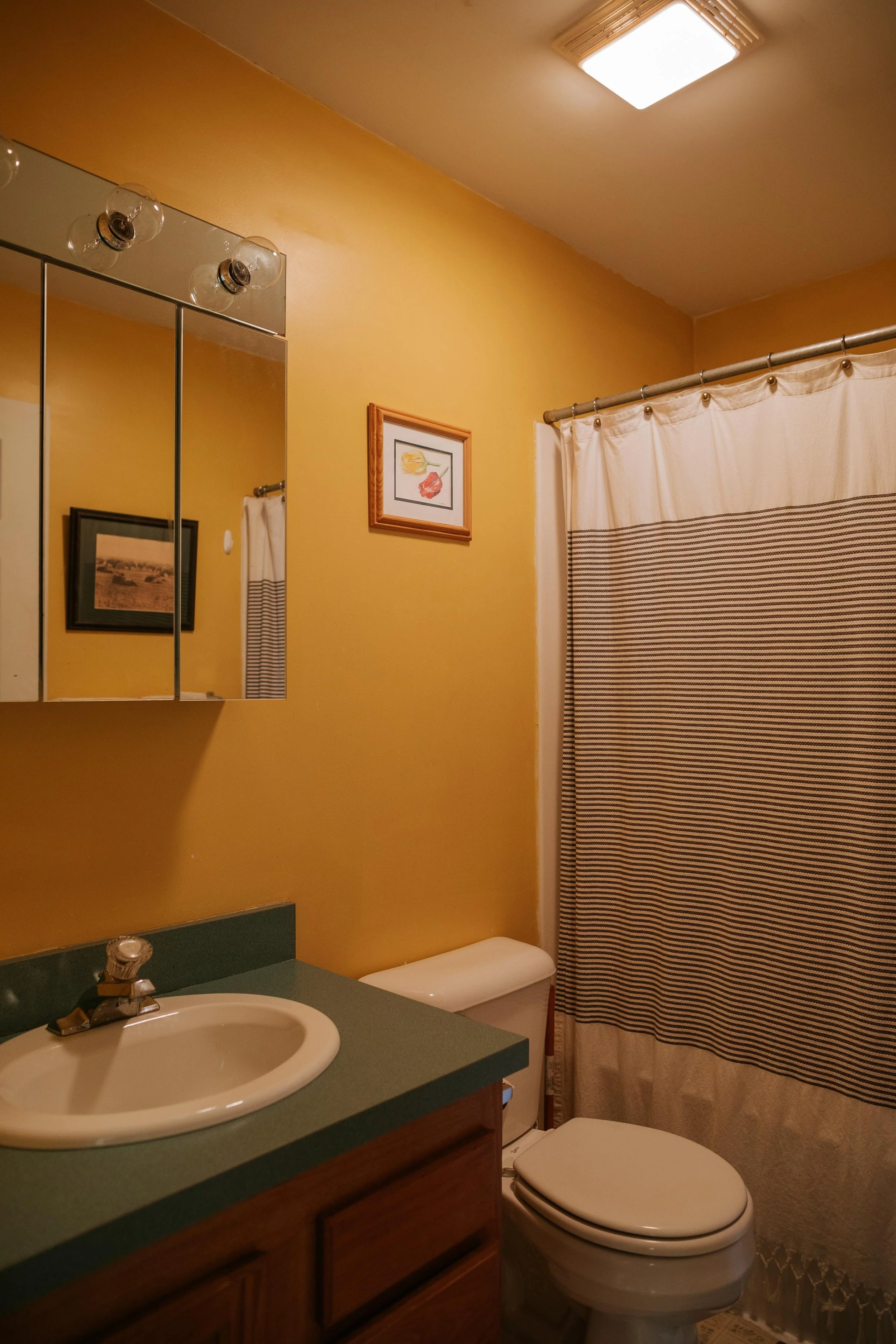 yaun-upstate-realtor-thatupstateagent-curious-ahouseupstate-lilliek-40.jpg