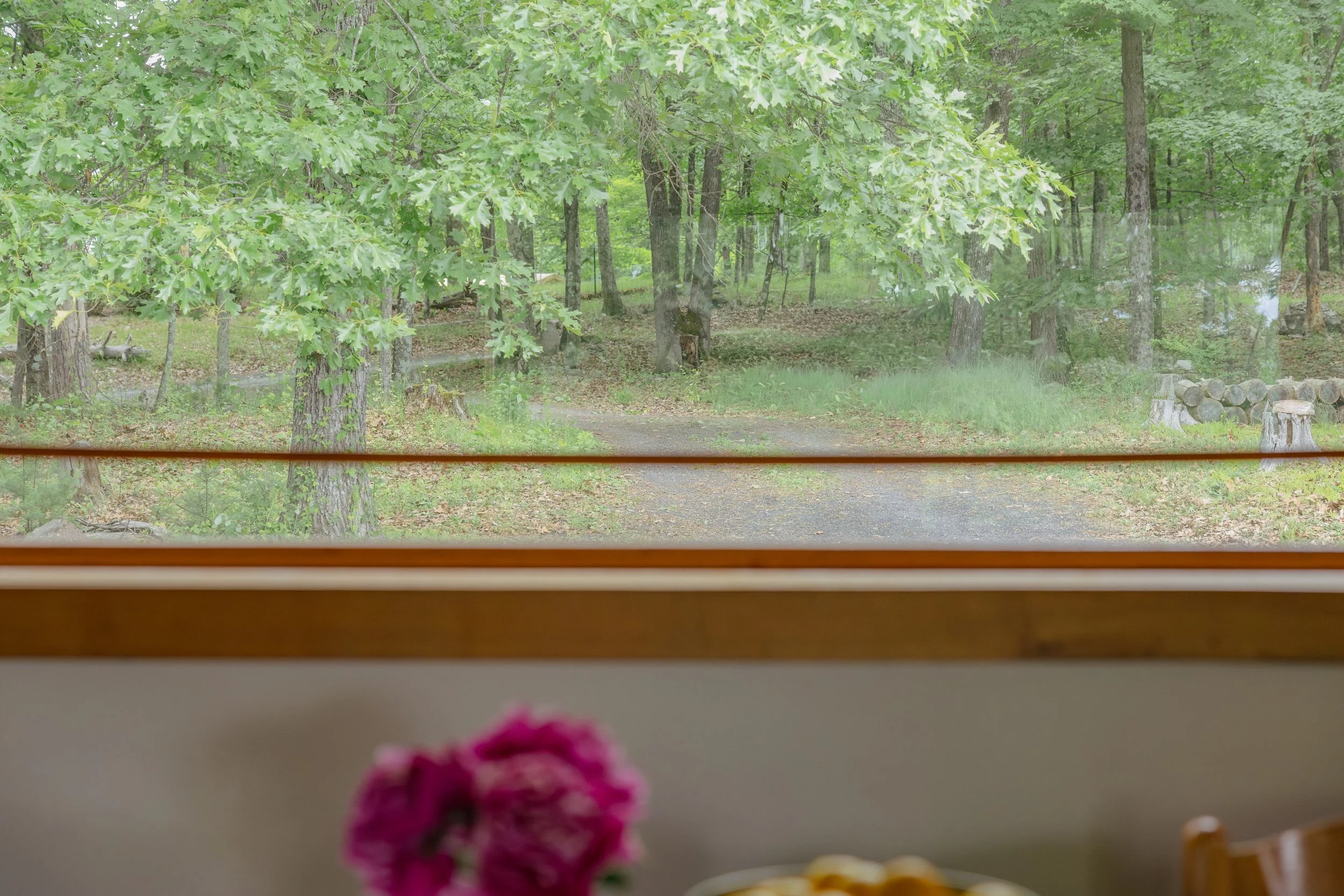 gesso-heath-upstate-realtor-thatupstateagent-curious-ahouseupstate-lilliek-34.jpg
