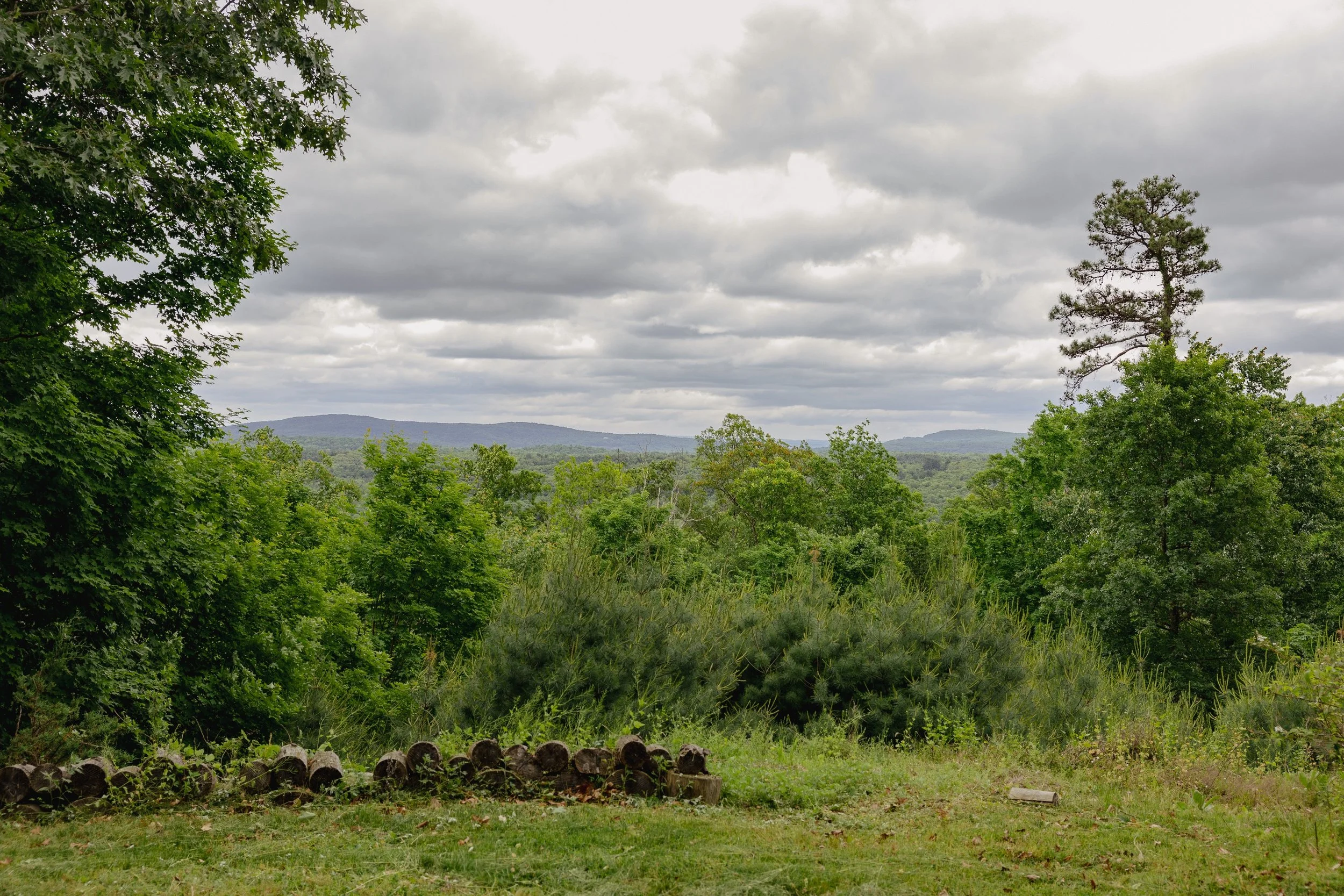 gesso-heath-upstate-realtor-thatupstateagent-curious-ahouseupstate-lilliek-3.jpg