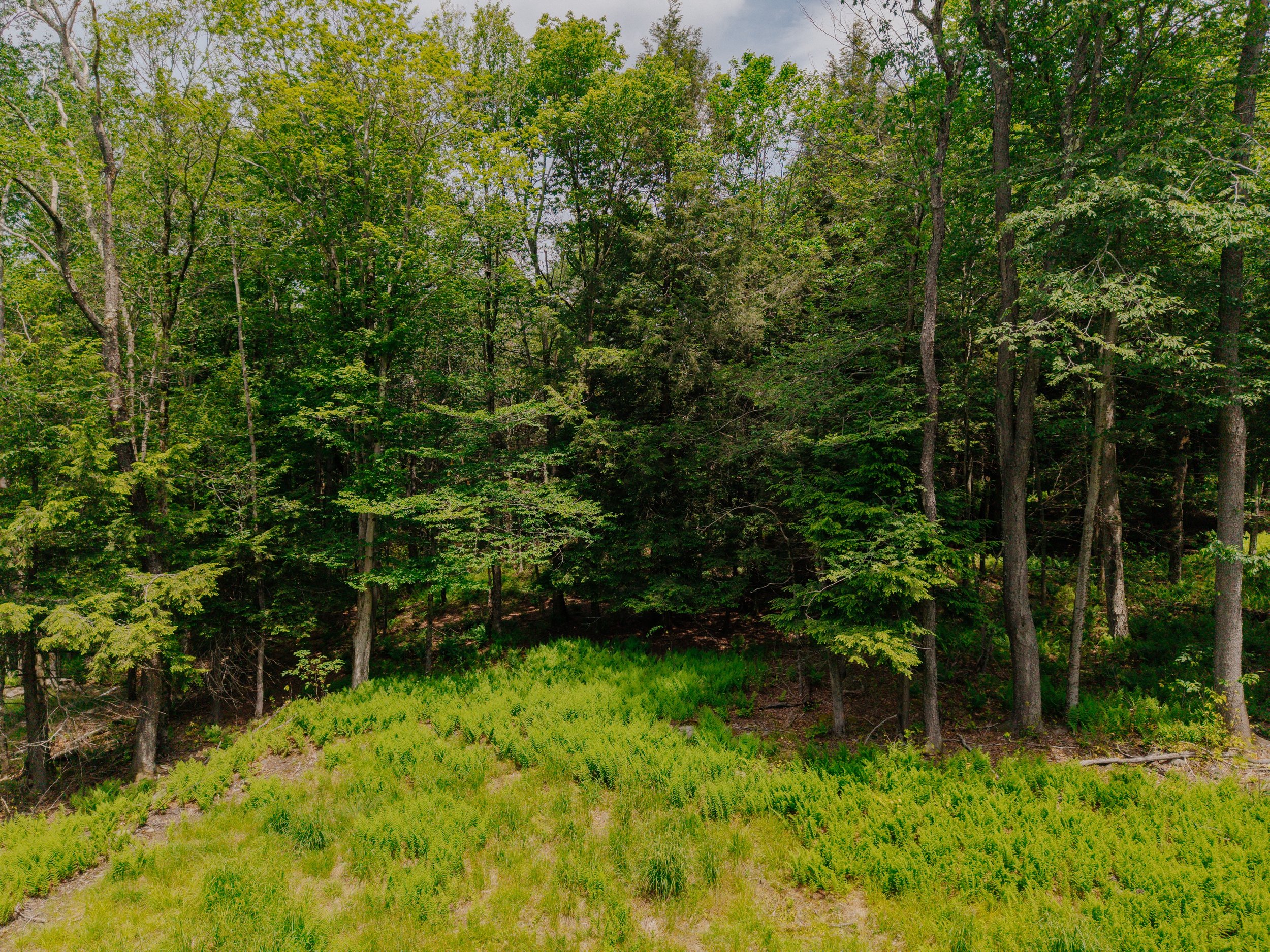 shandelee-upstate-realtor-thatupstateagent-curious-ahouseupstate-lilliek-26.jpg
