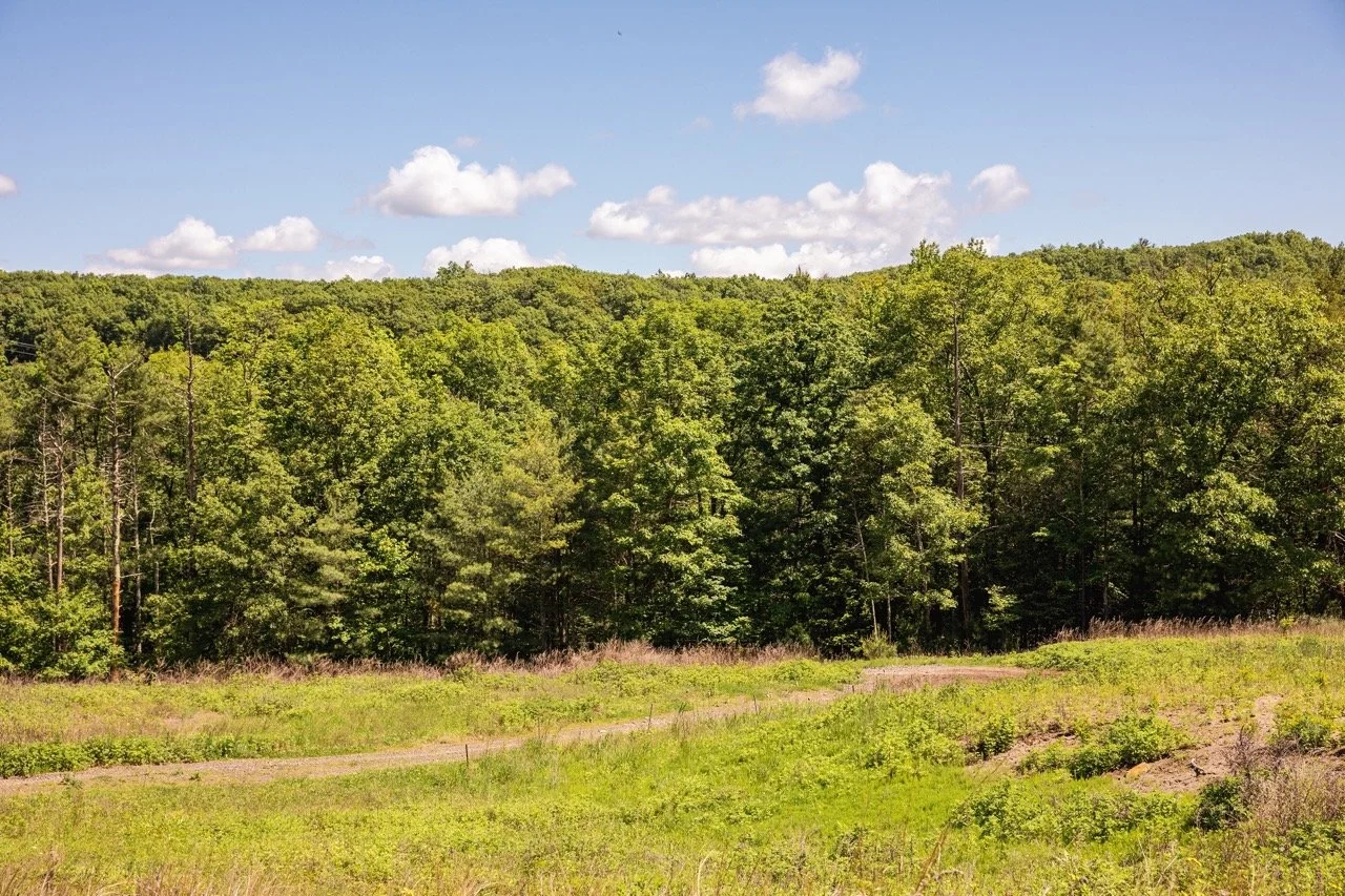 high-quarry-that-upstate-agent-catskills-real-estate-15.jpeg