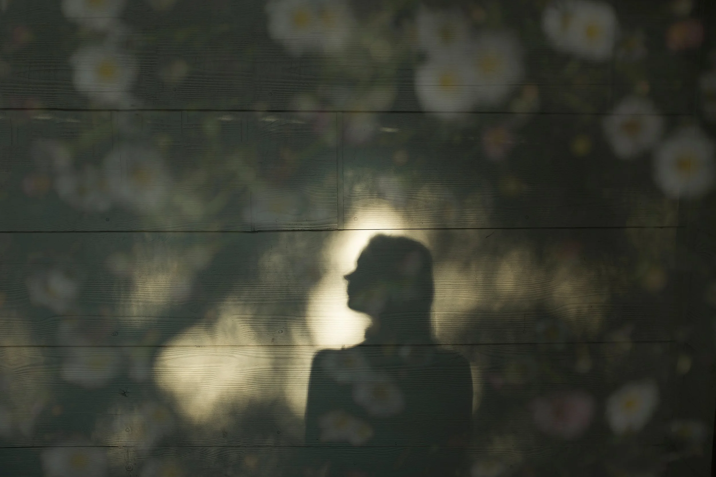 Silhouette of a woman with glasses, facing left, seen through a semi-transparent surface with blurred flowers in the foreground and a bright background.