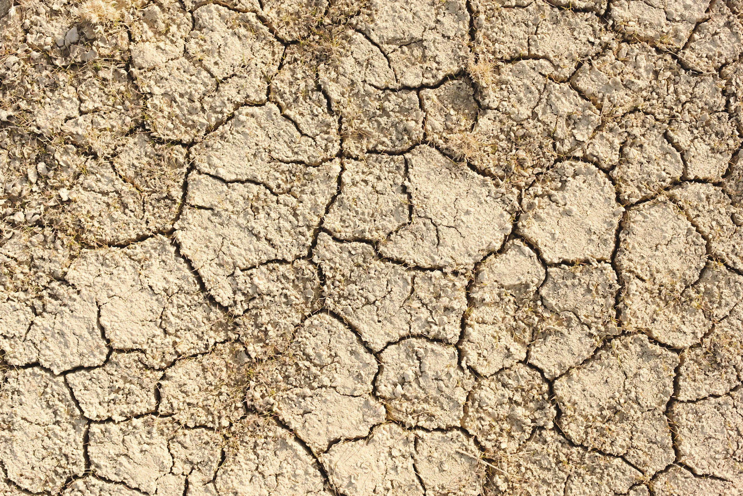 Growing season cashflow constraints