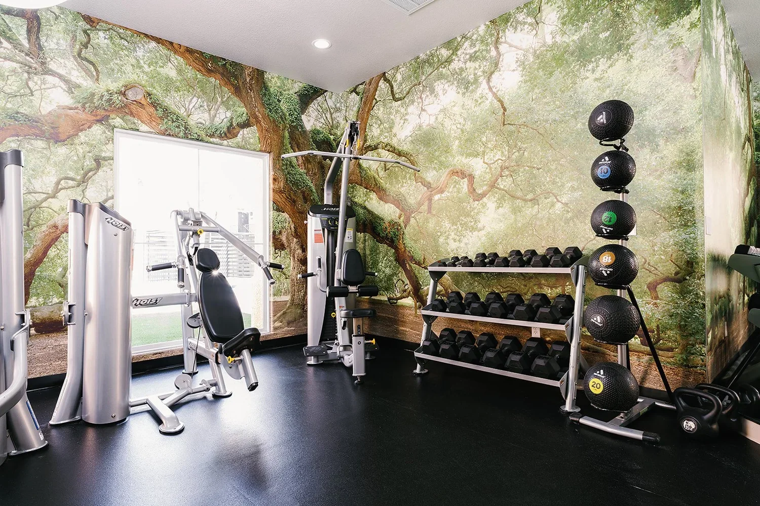 Cheyenne+Office+and+Gym+April+2025+(22+of+27).webp