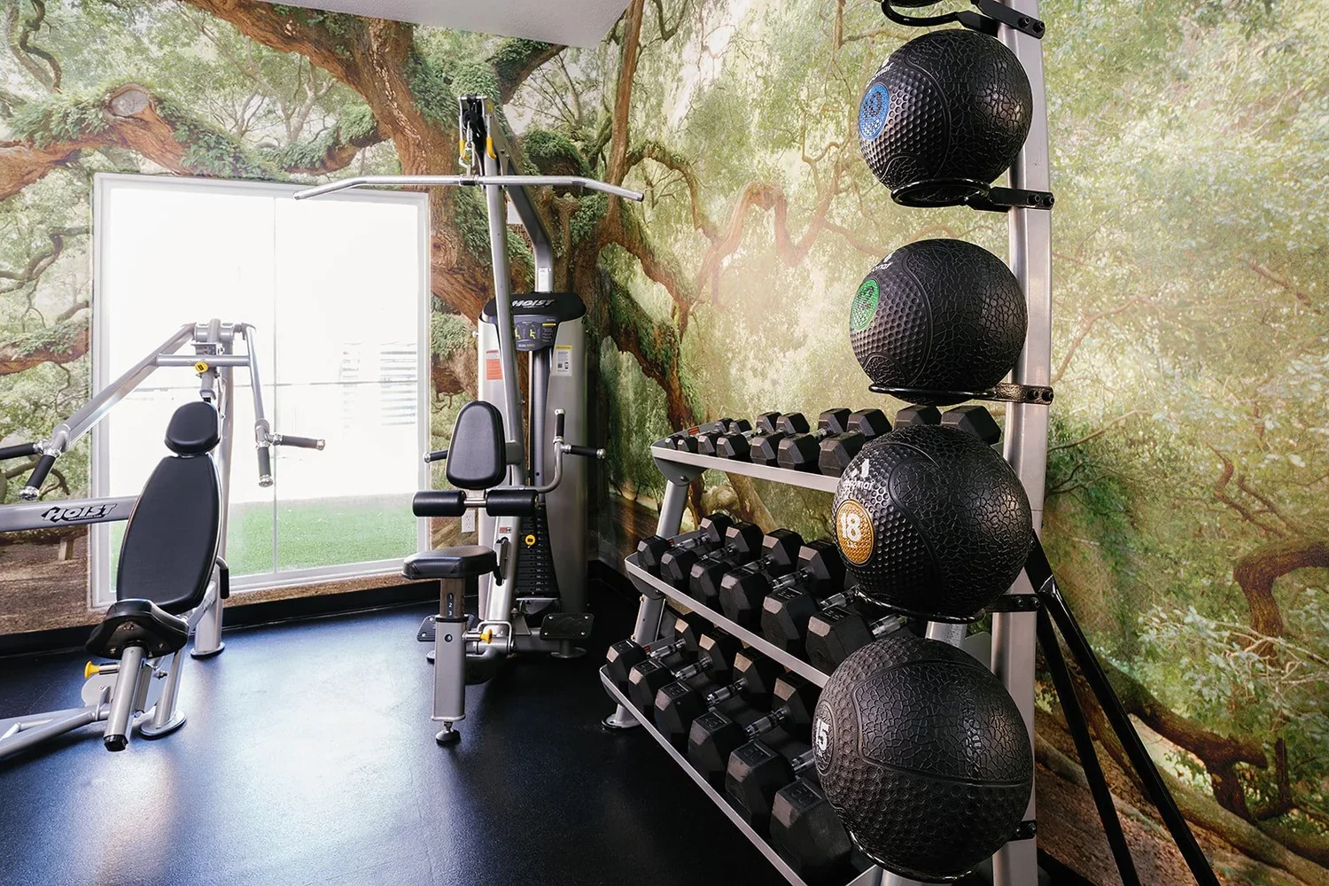 Cheyenne+Office+and+Gym+April+2025+(27+of+27).webp