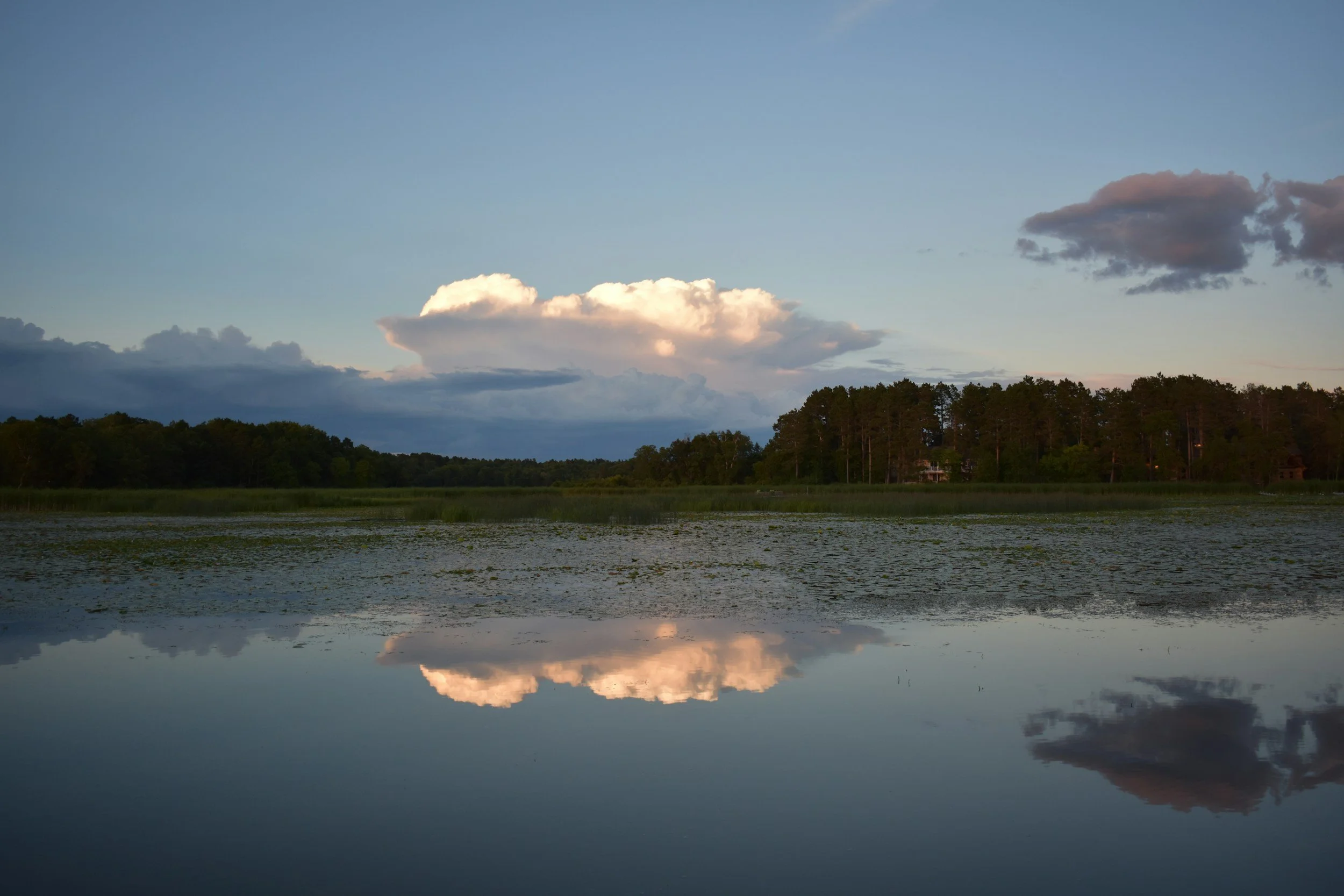 Emotional Adulthood: How It Changes Everything and Why It’s a Must Have for Leaders