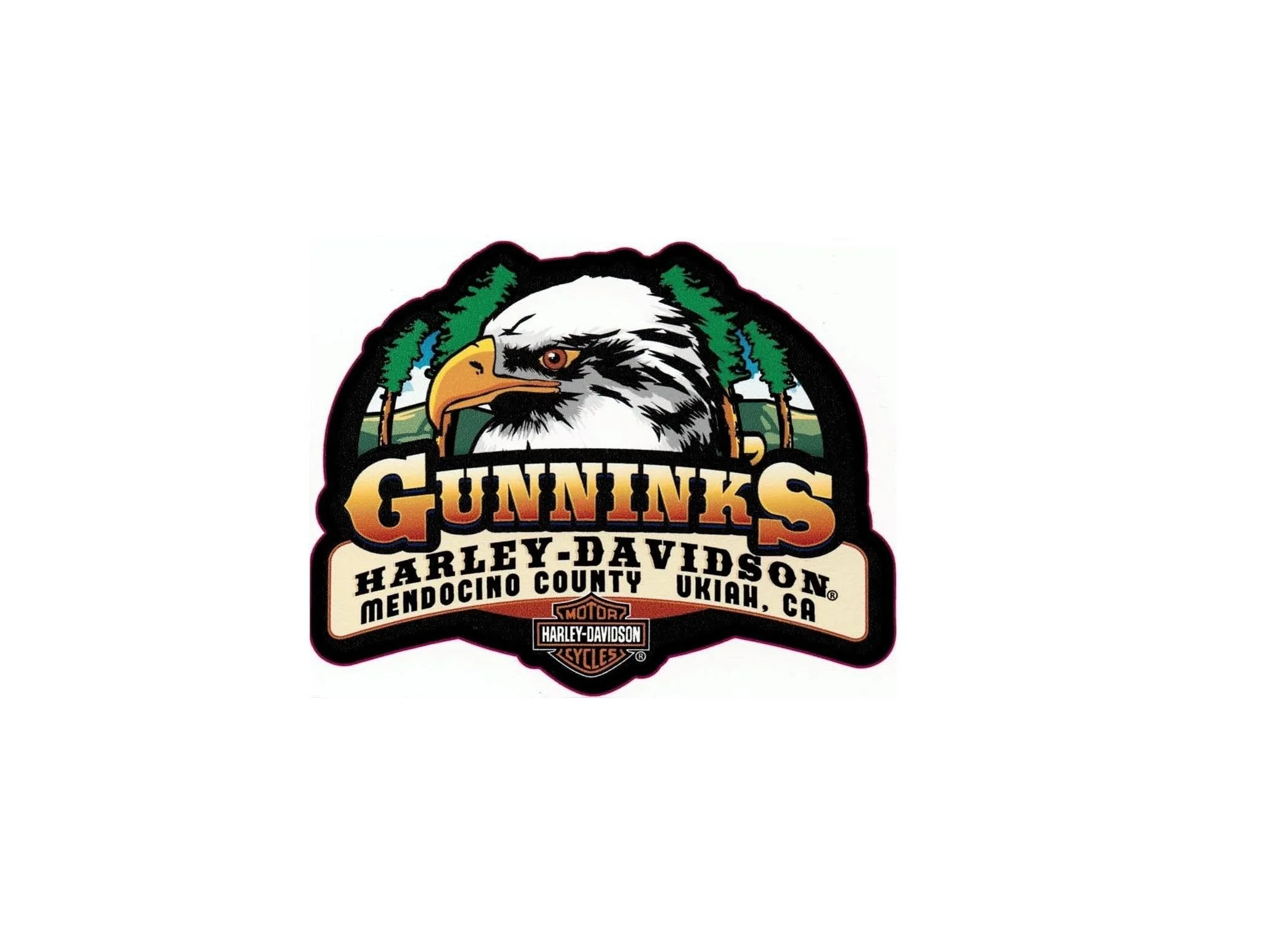 Gunnik's Harley Davidson