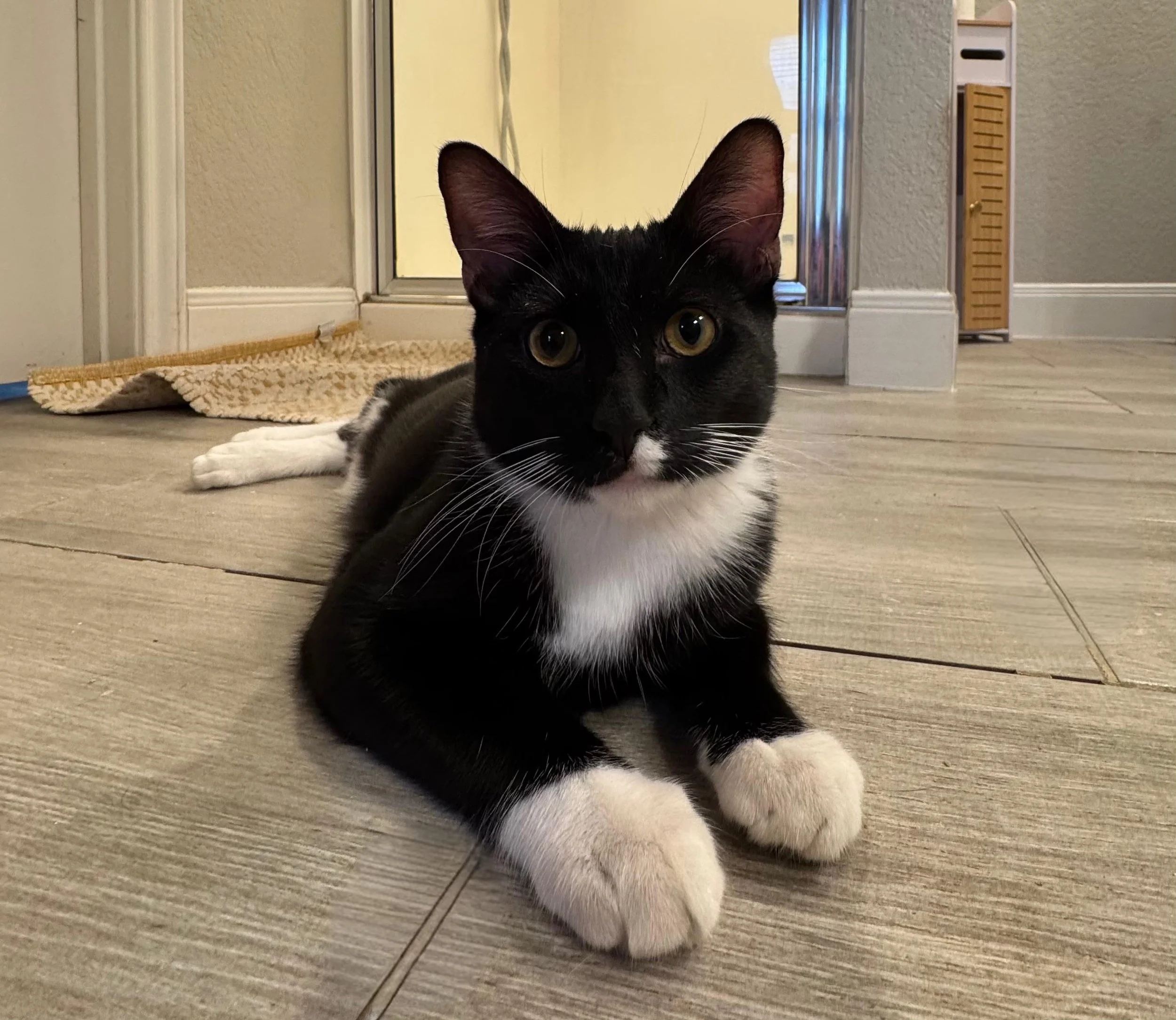 Mittens-5.jpg