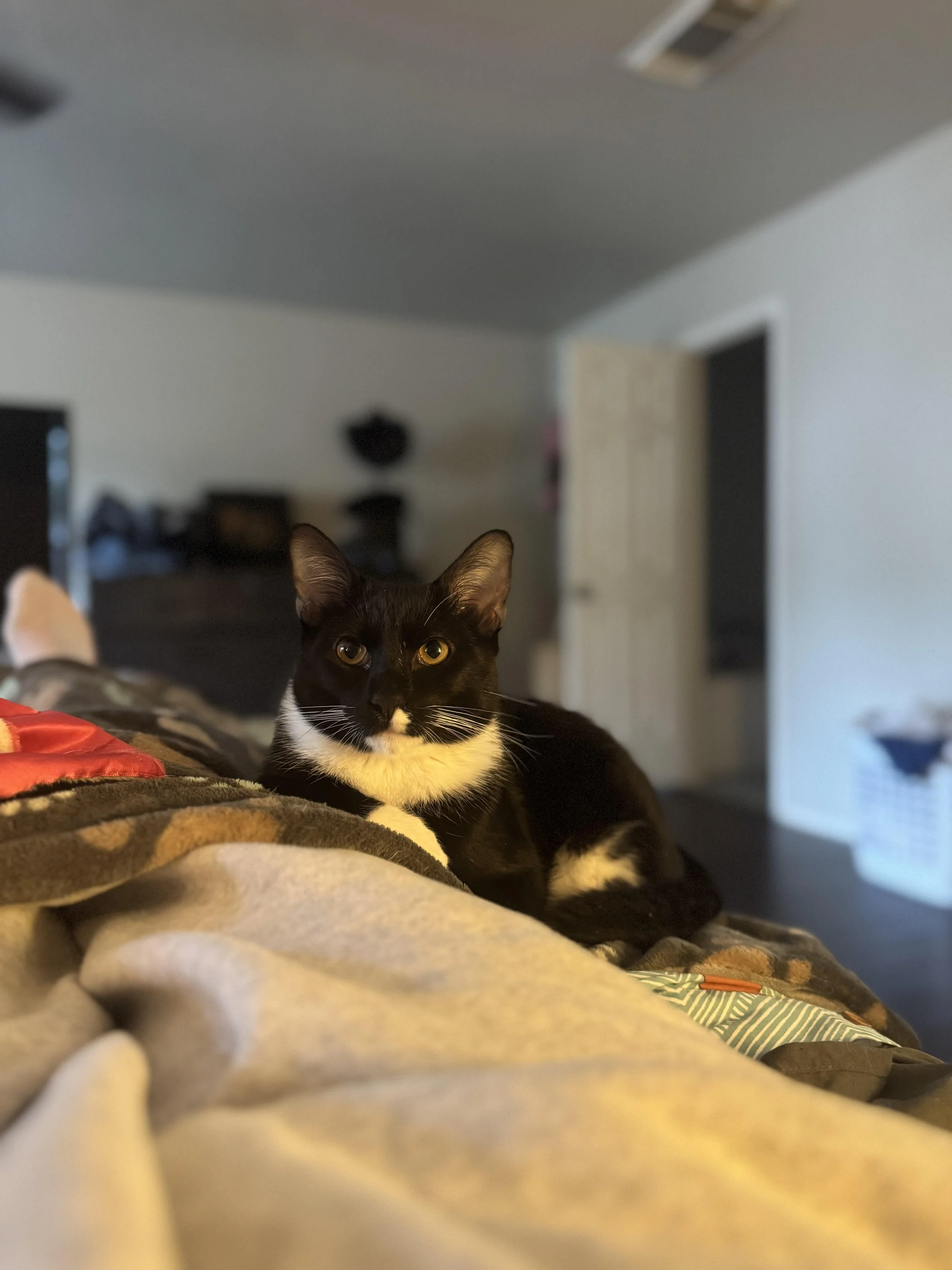Mittens-3.jpg