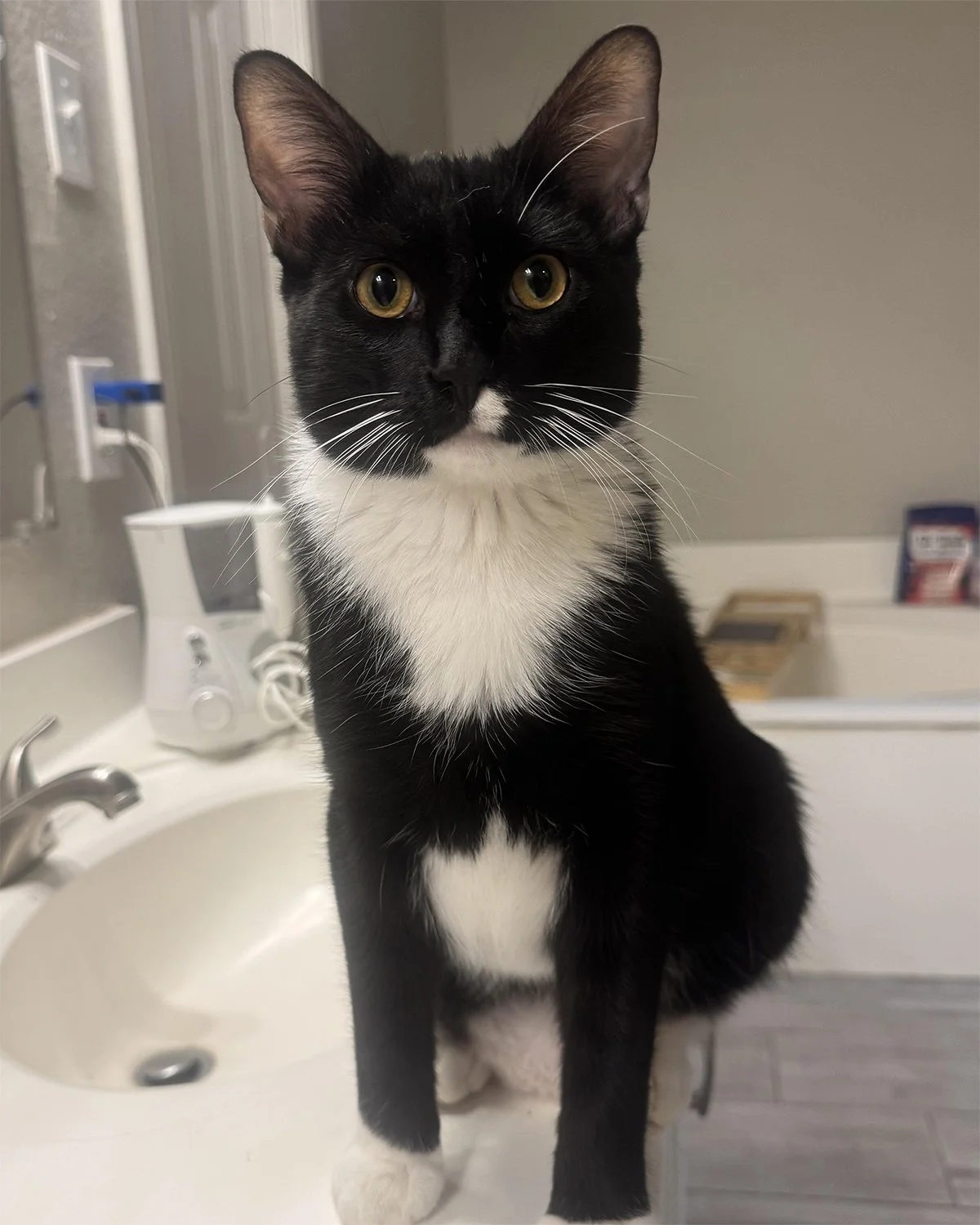 Mittens (Mitty)