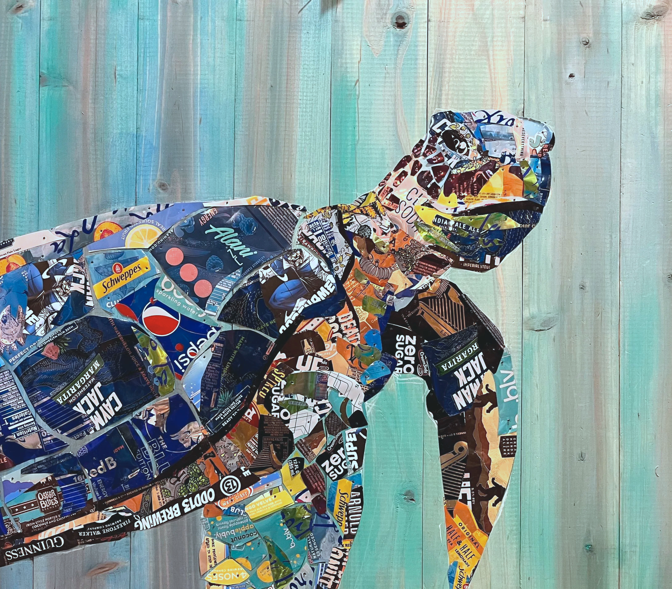 can-turtle.png