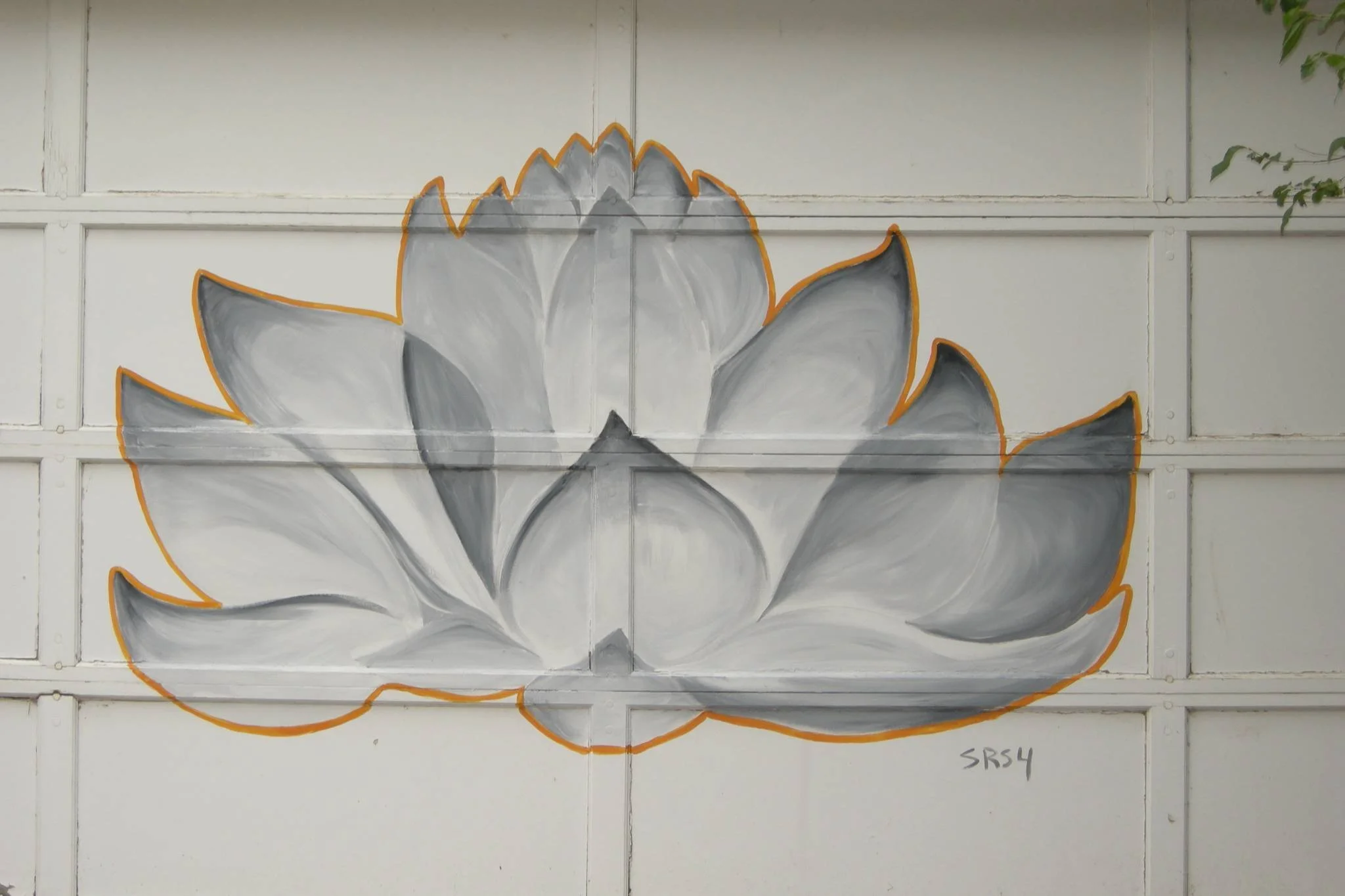 Lotus-Sarah-Spencer.jpg