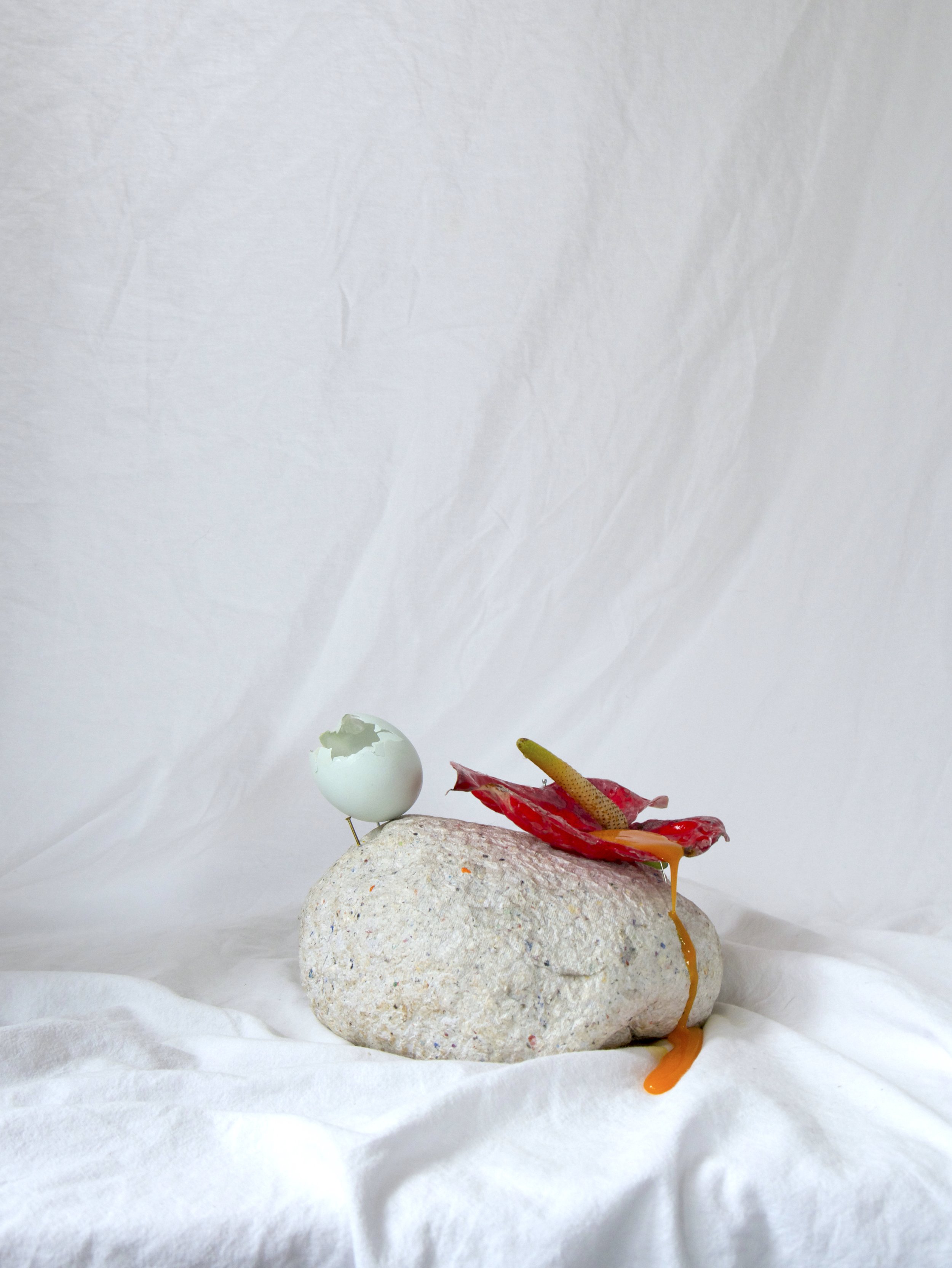 carried vs. miscarried