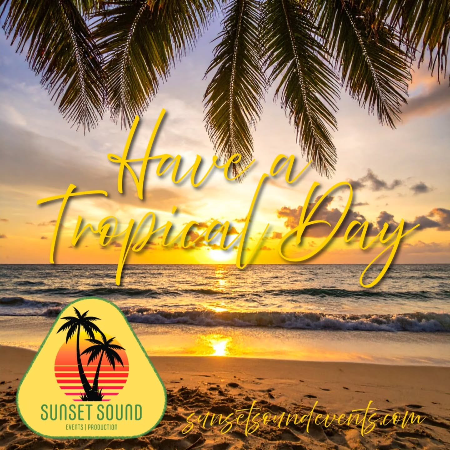 Have a tropical day with night time events in the summer with @sunsetsoundevents