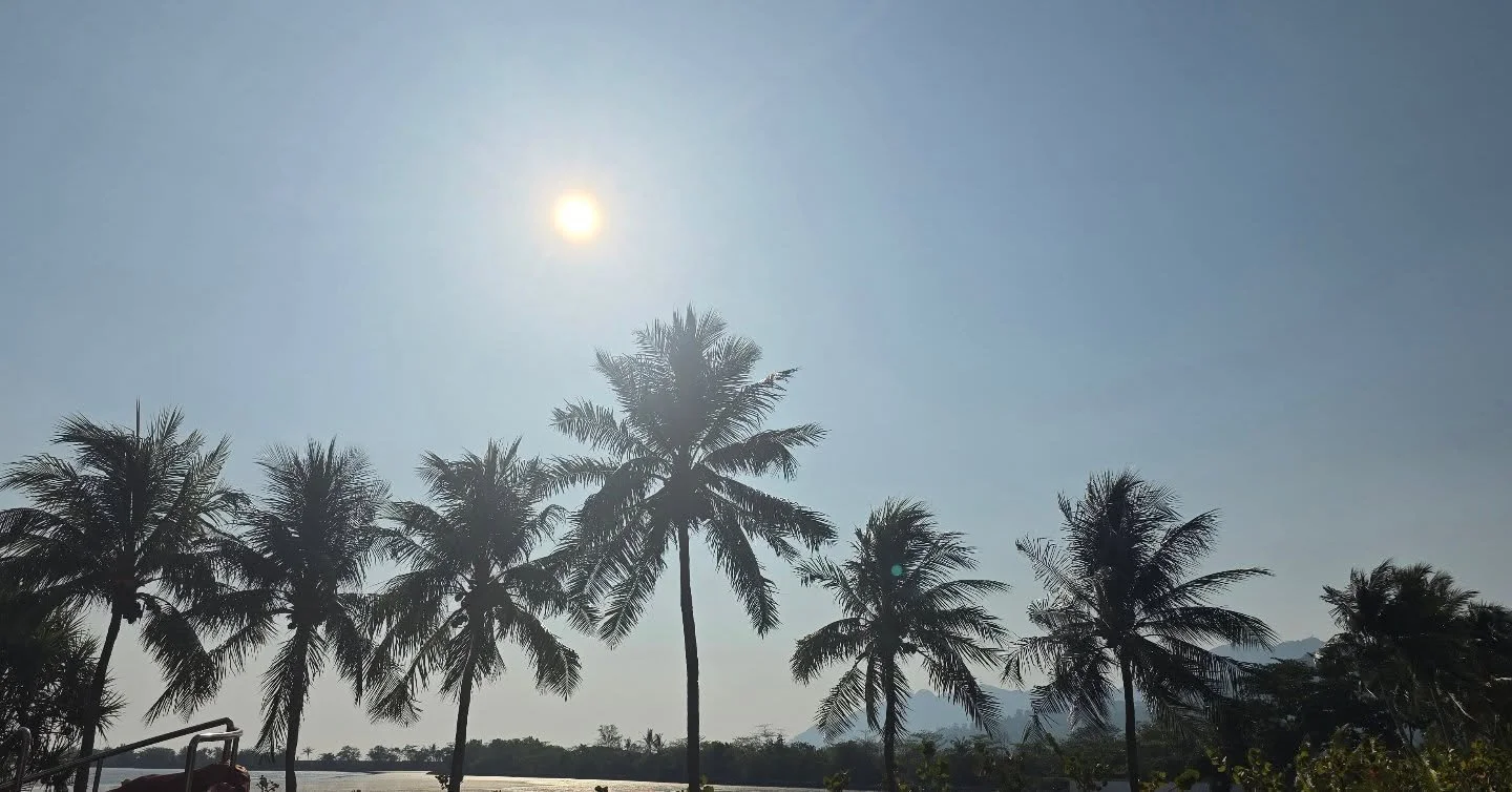 Have a tropical day!

@sunsetsoundevents