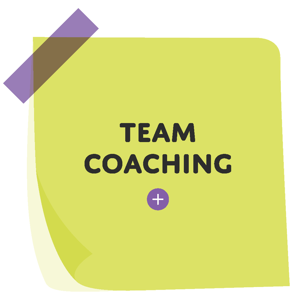 team coaching