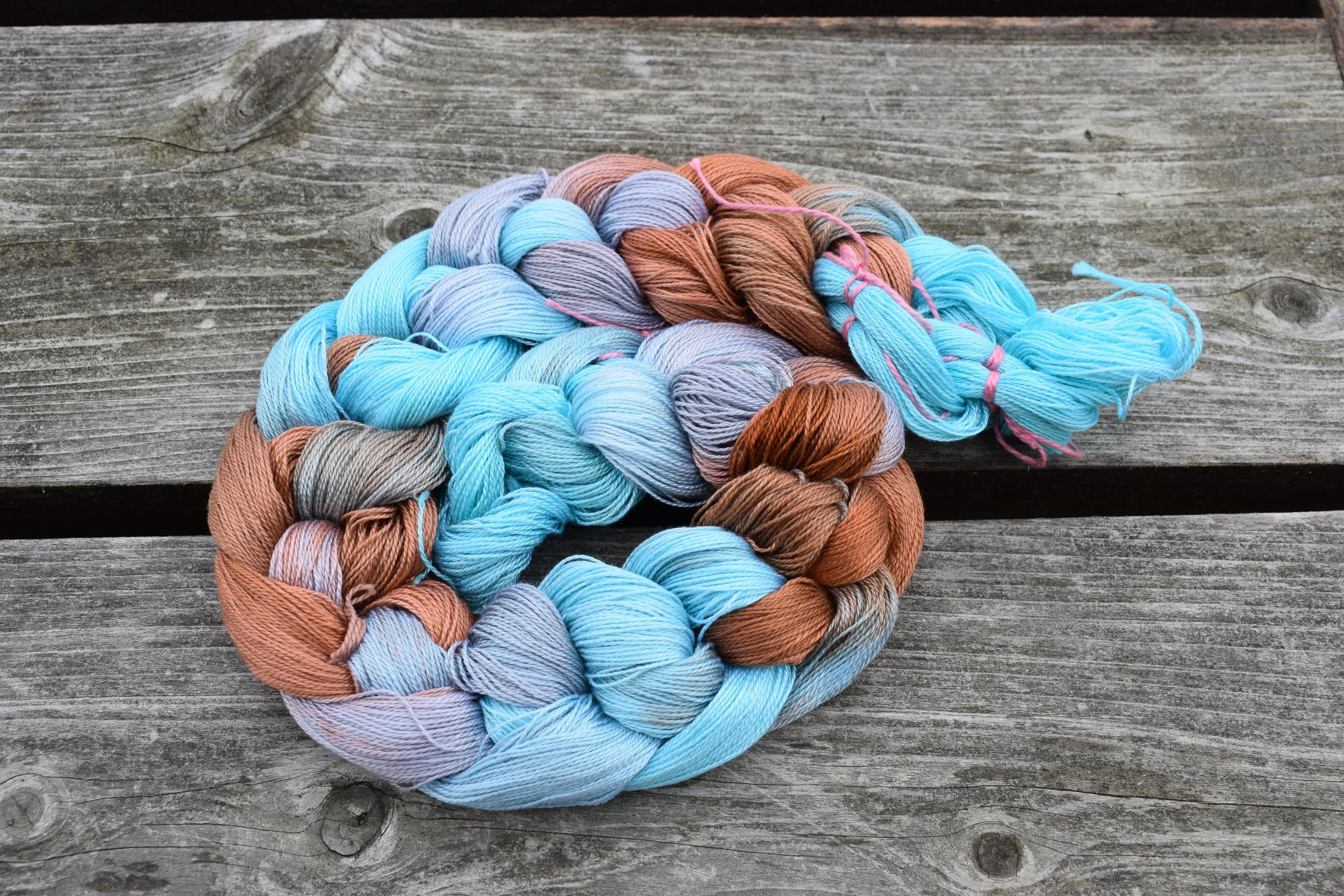 Common Kingfisher Warp