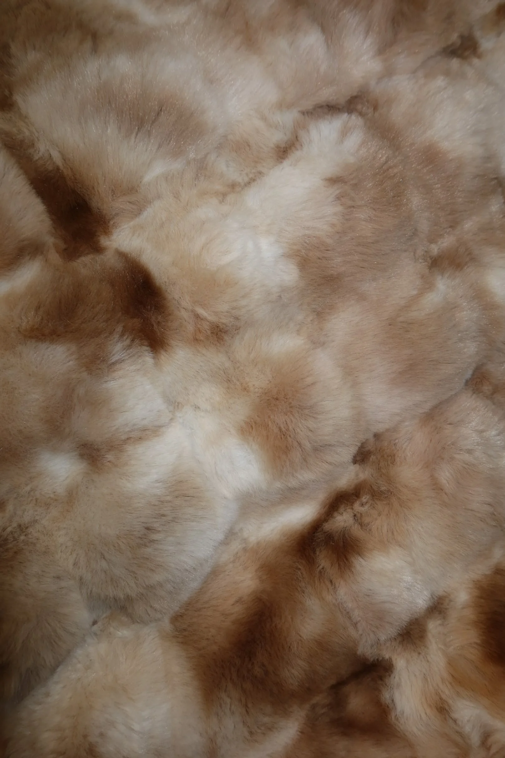 Close-up of light brown and cream-colored fur on multiple overlapping animals.