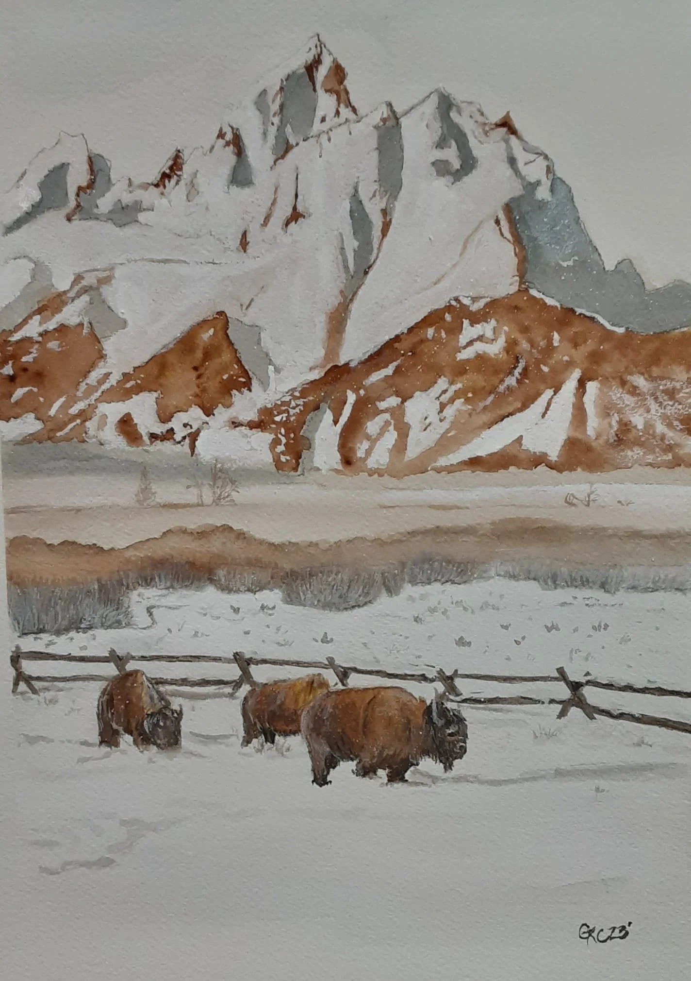 Tetons and Bison